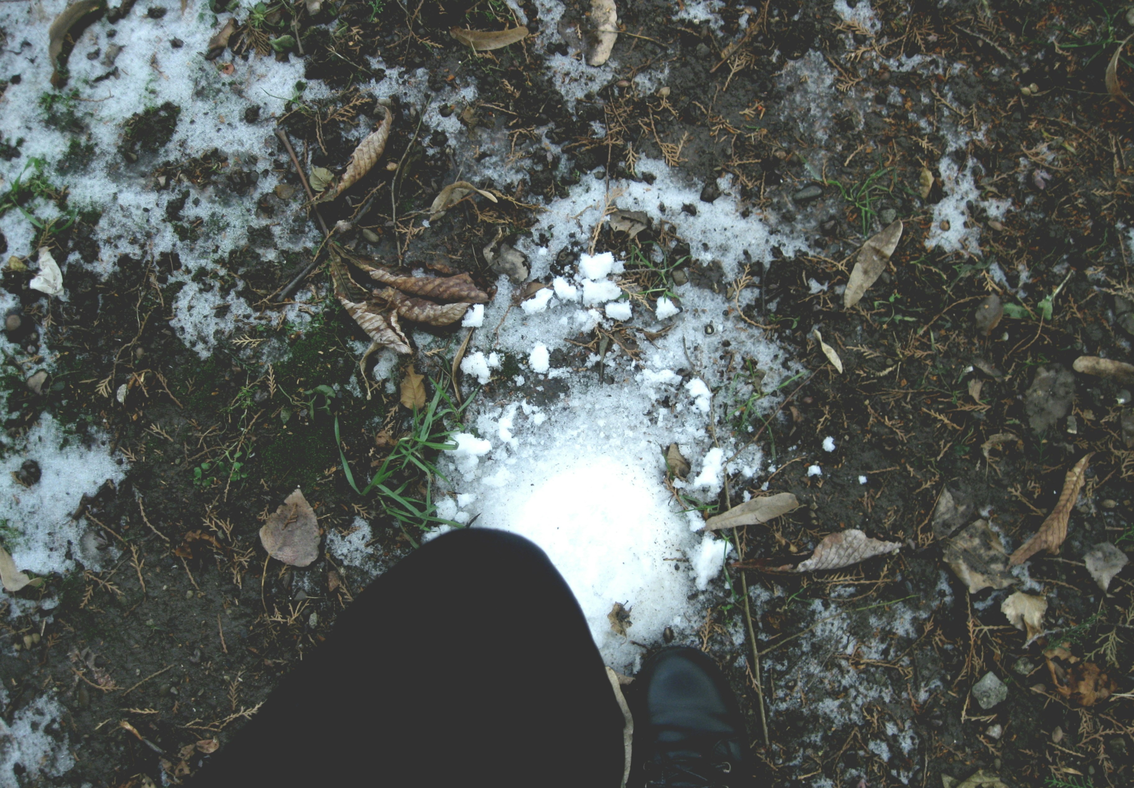 Free Unsplash photo from Anton Alexandru