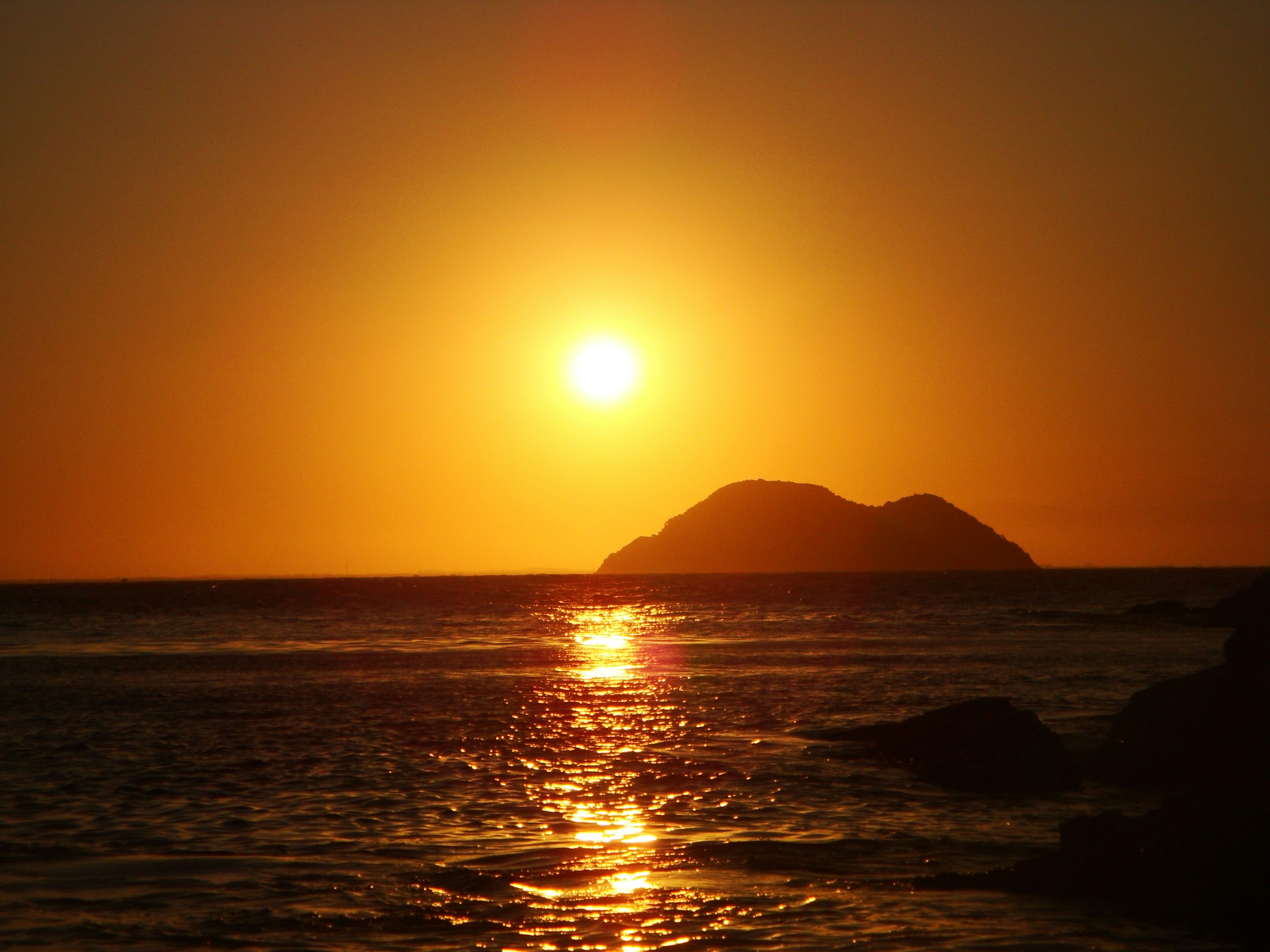 Free Unsplash photo from Francisco Bravo