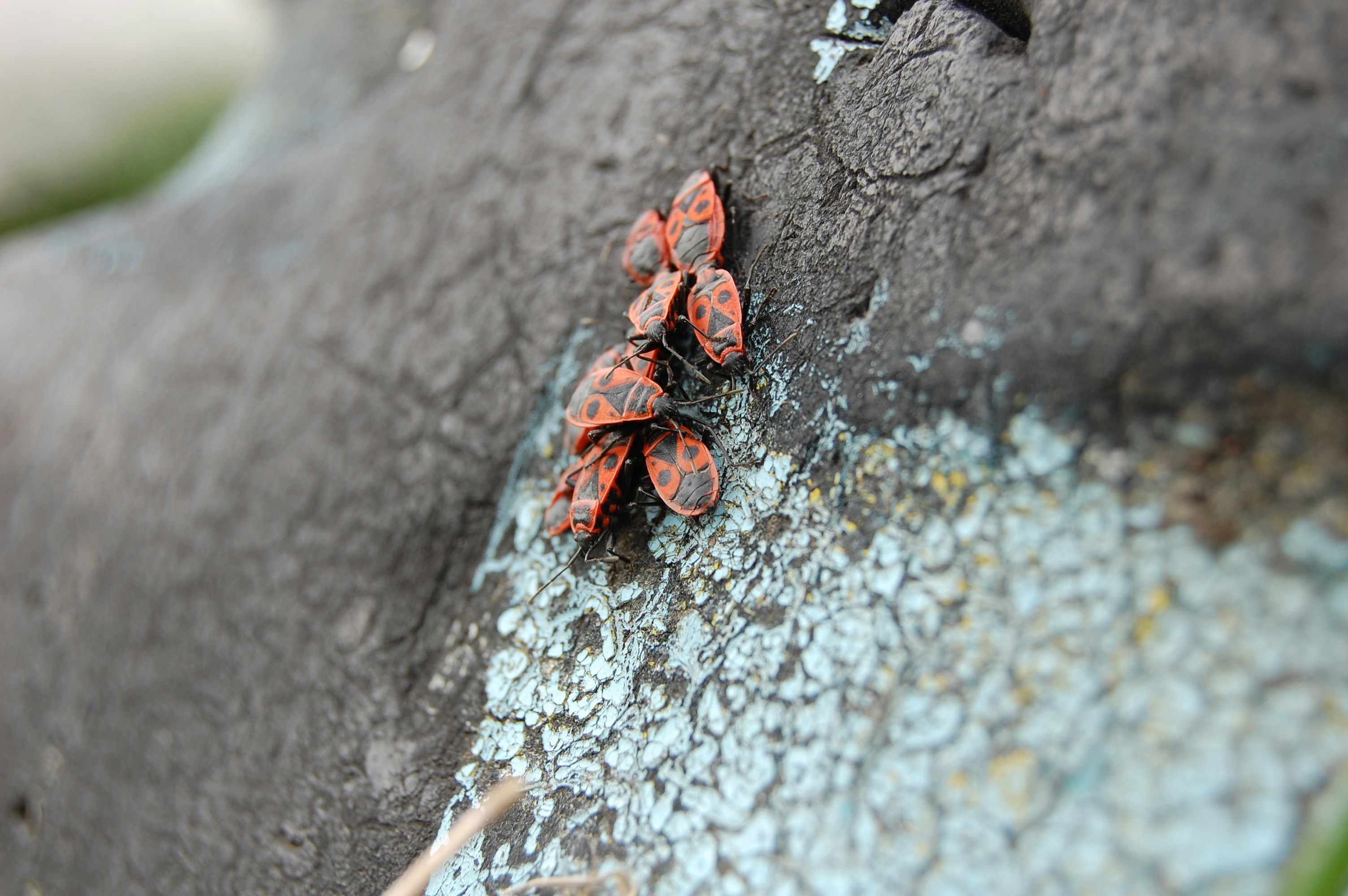 Free Unsplash photo from Yura Koltko