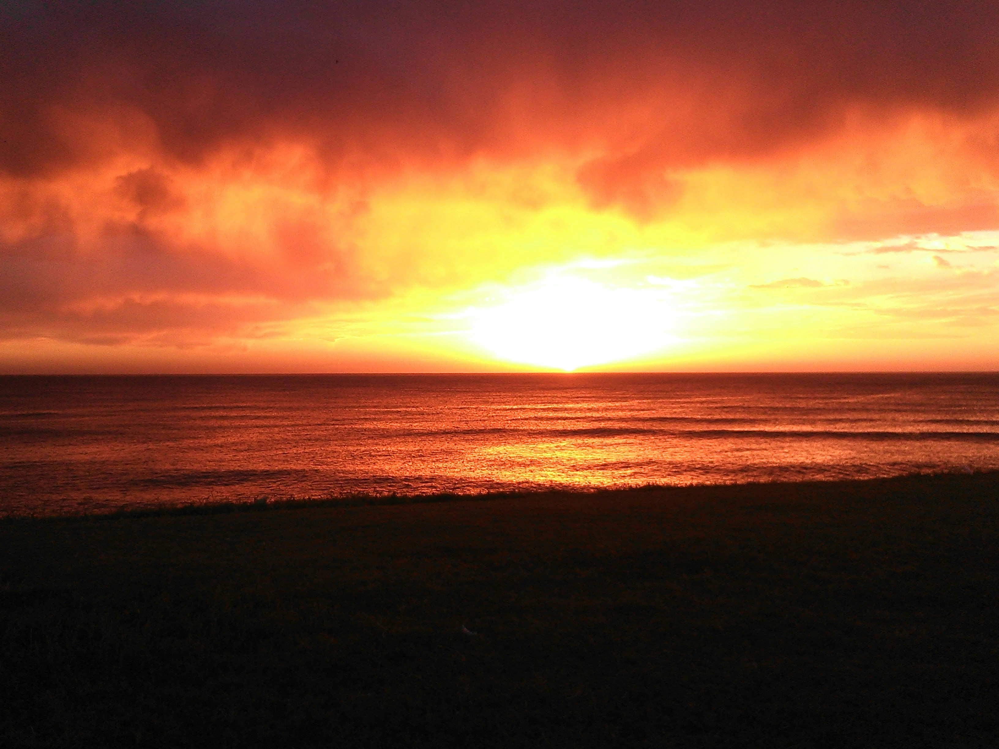 Free Unsplash photo from Francisco Bravo