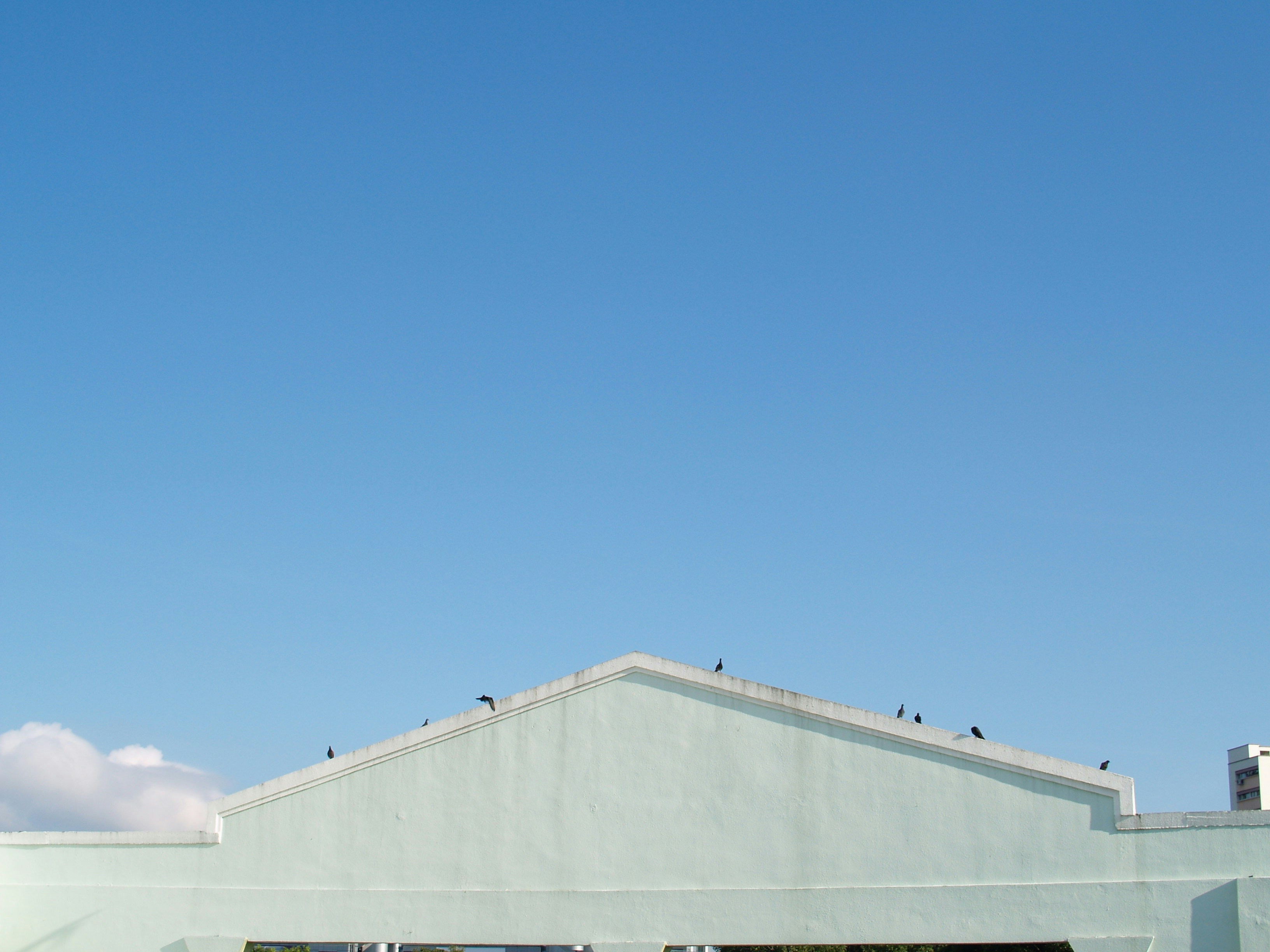 Free Unsplash photo from Adrian Agoes