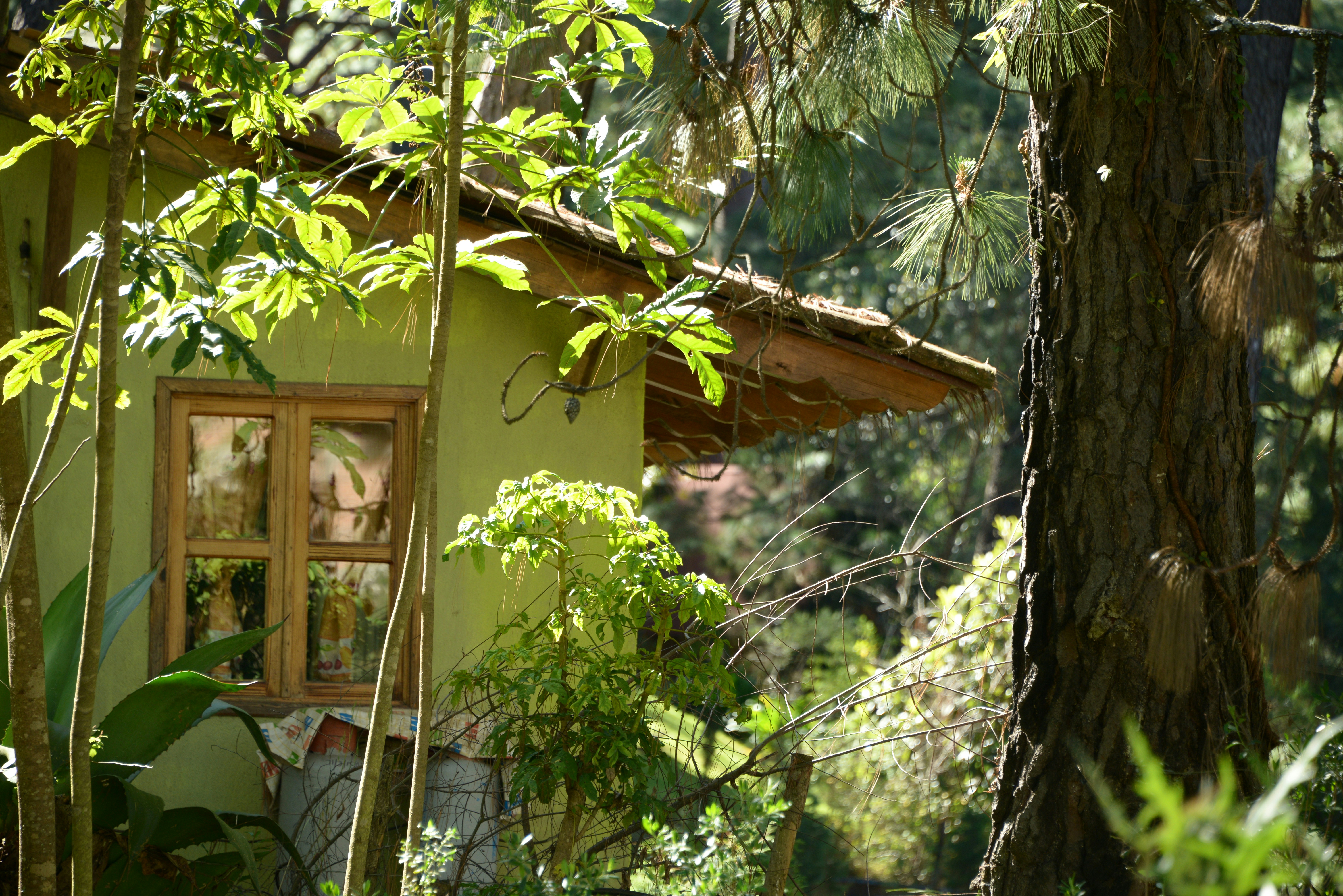 Free Unsplash photo from Alberto De quevedo