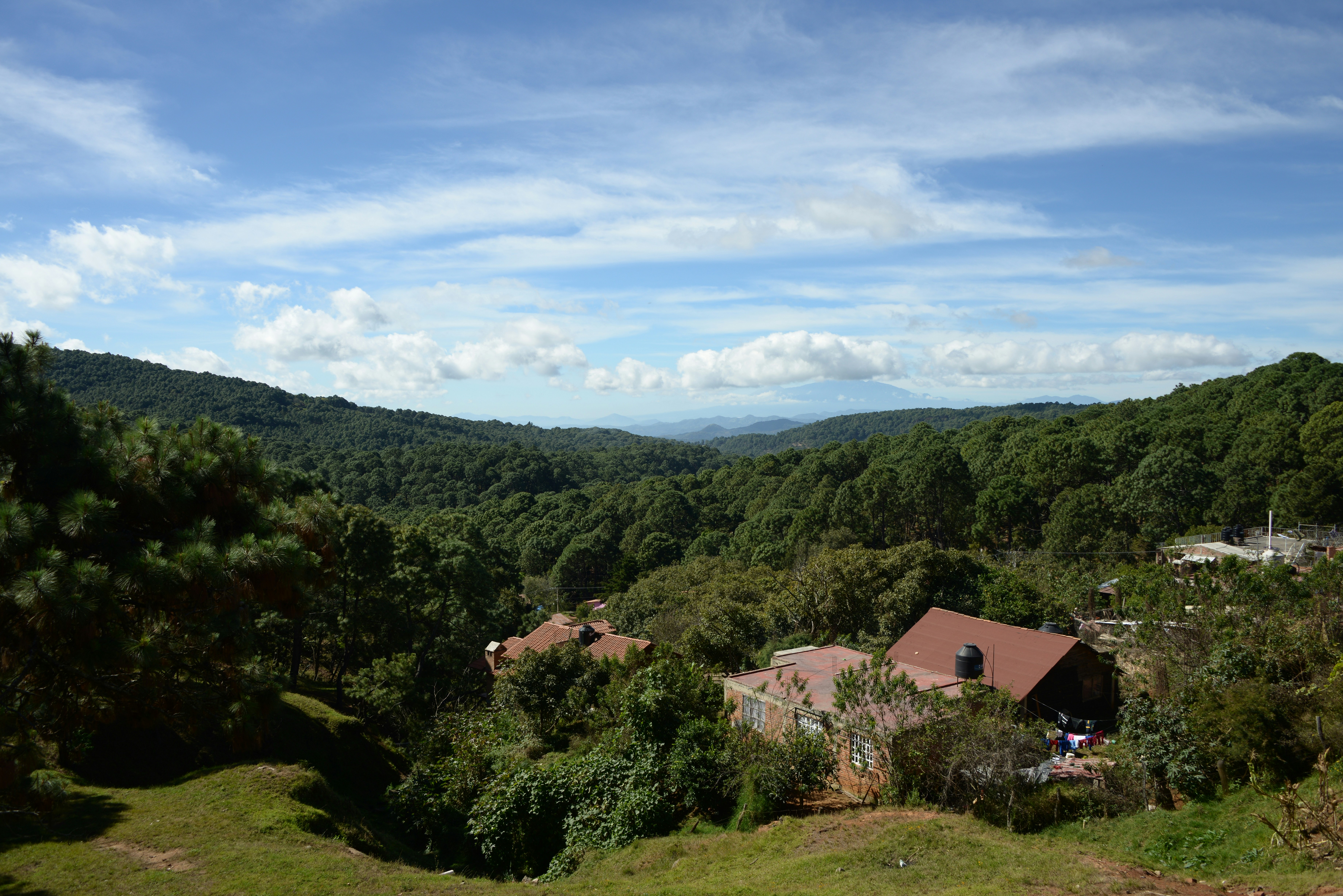 Free Unsplash photo from Alberto De quevedo