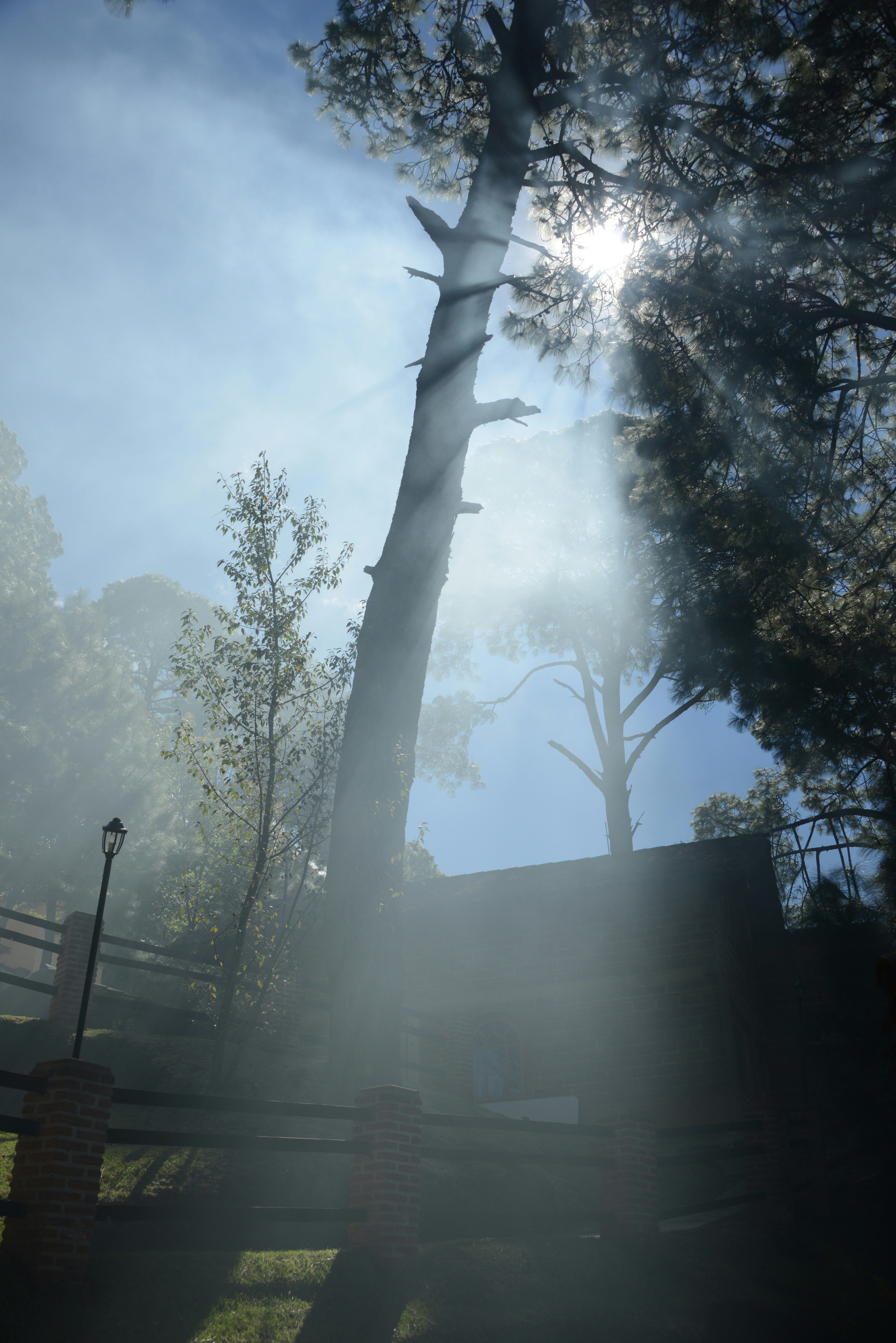 Free Unsplash photo from Alberto De quevedo