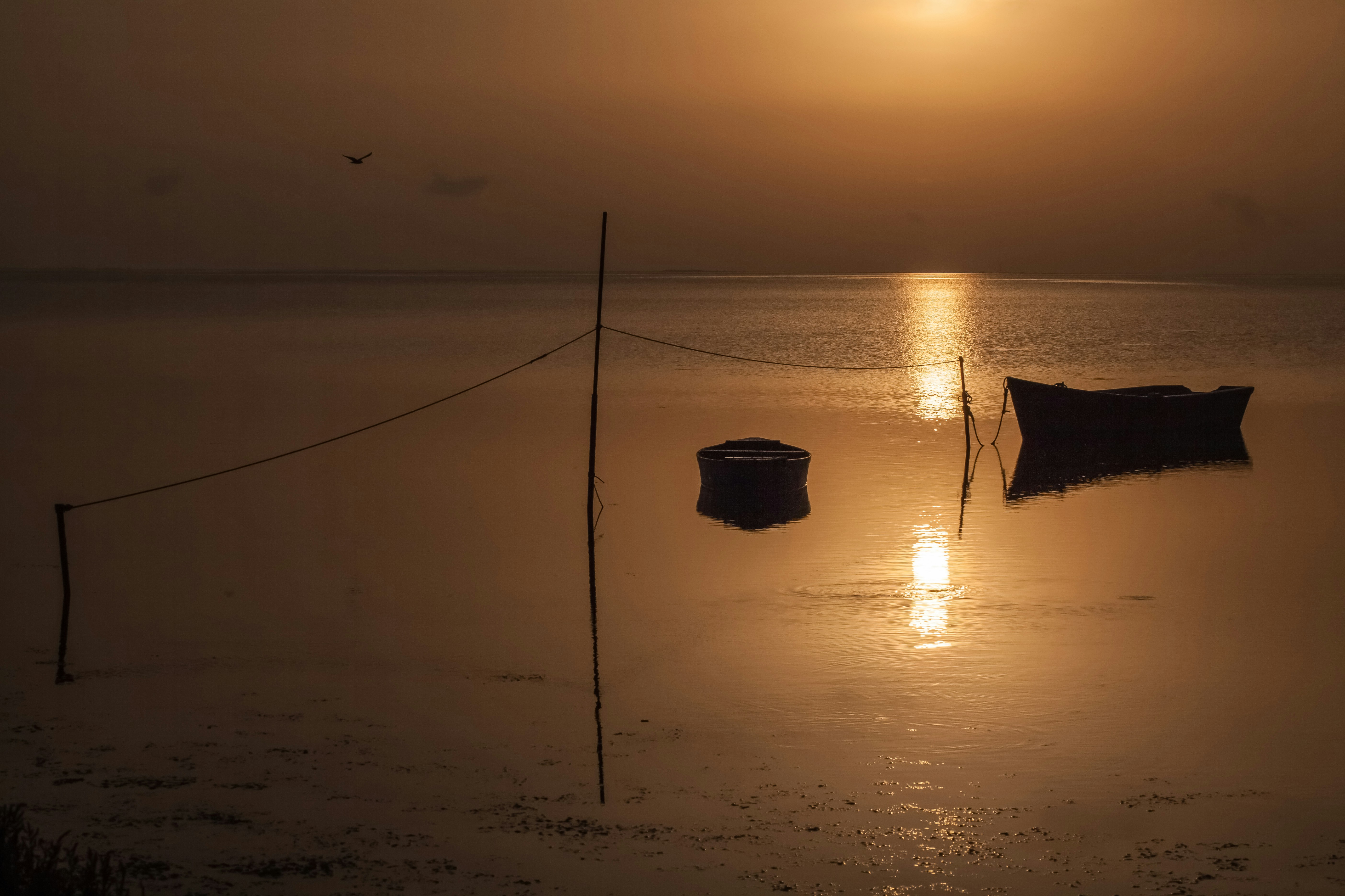 Free Unsplash photo from Valentín Emiliano Moreno Gutiérrez