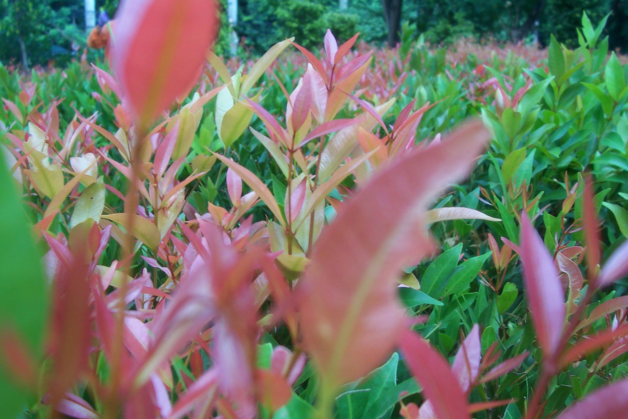 Free Unsplash photo from Novia Yuliani