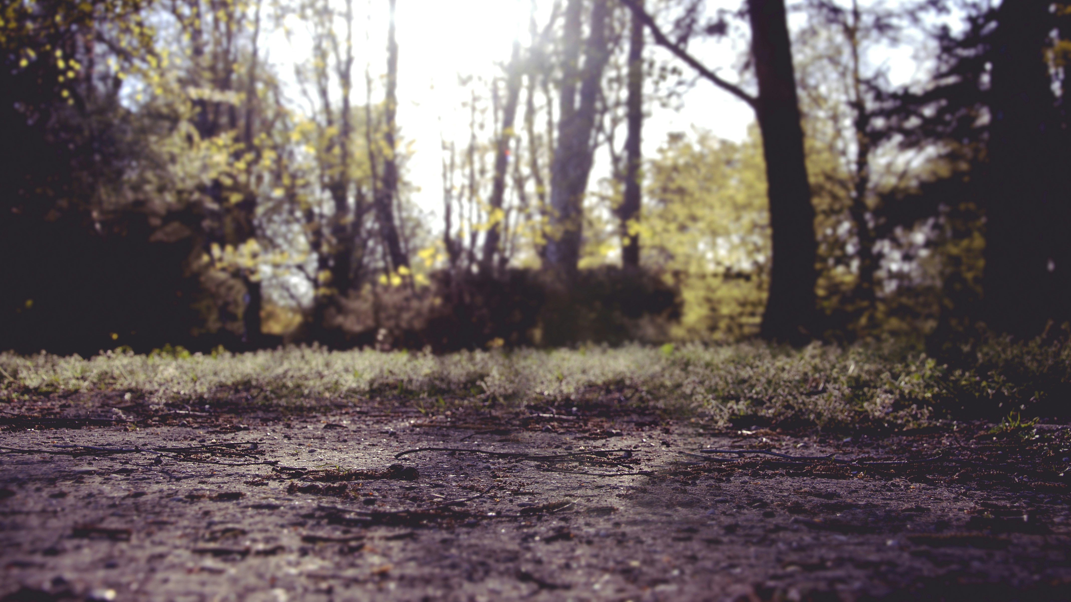 Free Unsplash photo from Katarzyna Kos