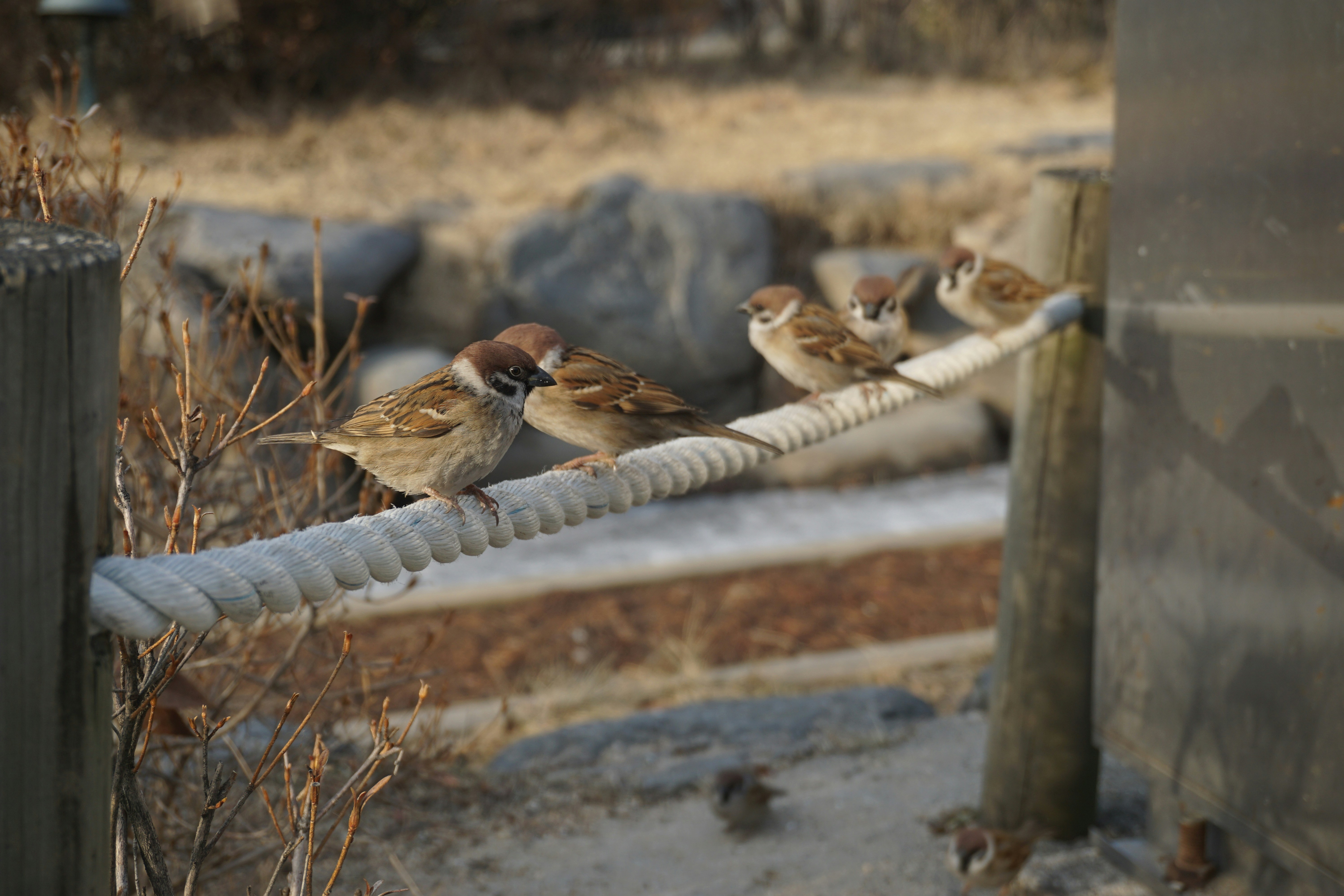 Free Unsplash photo from 민성 김