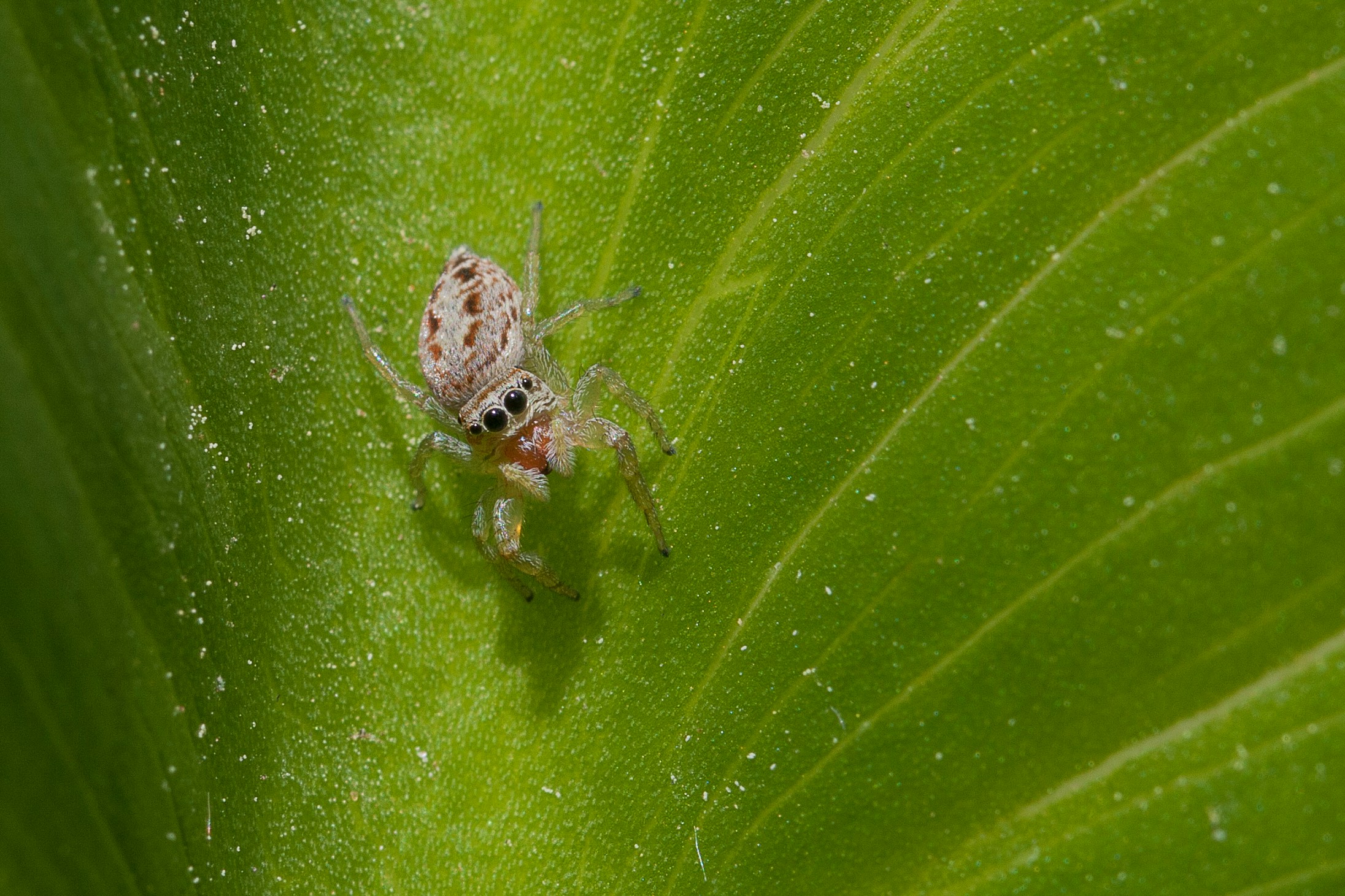 Free Unsplash photo from Antonio J. Pizarro Méndez