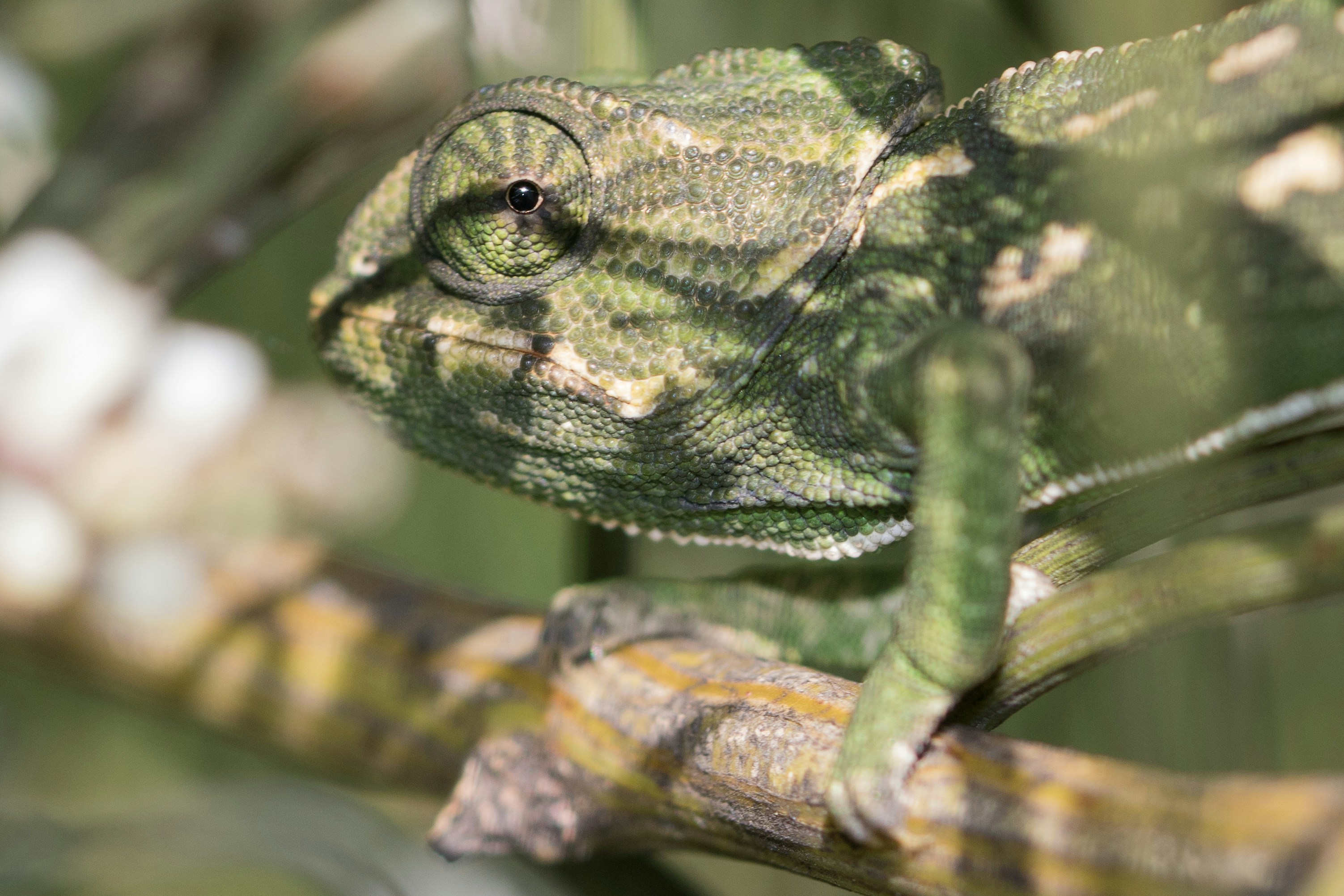 Free Unsplash photo from Antonio J. Pizarro Méndez