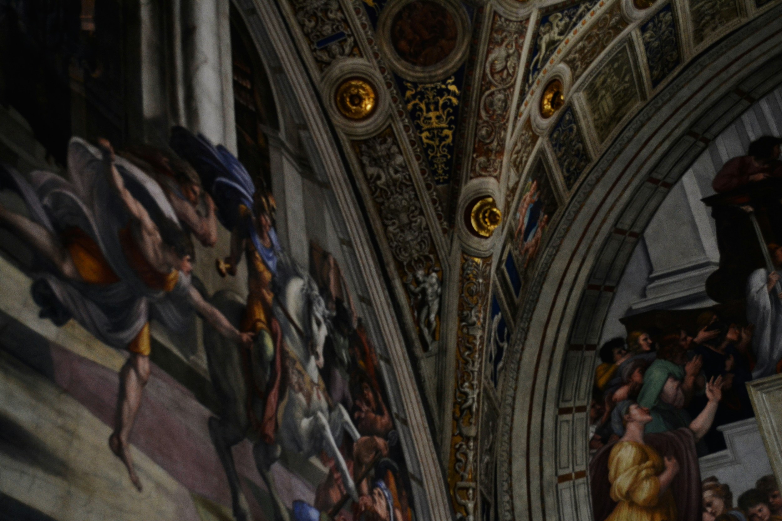 Free Unsplash photo from Sofia Sforza