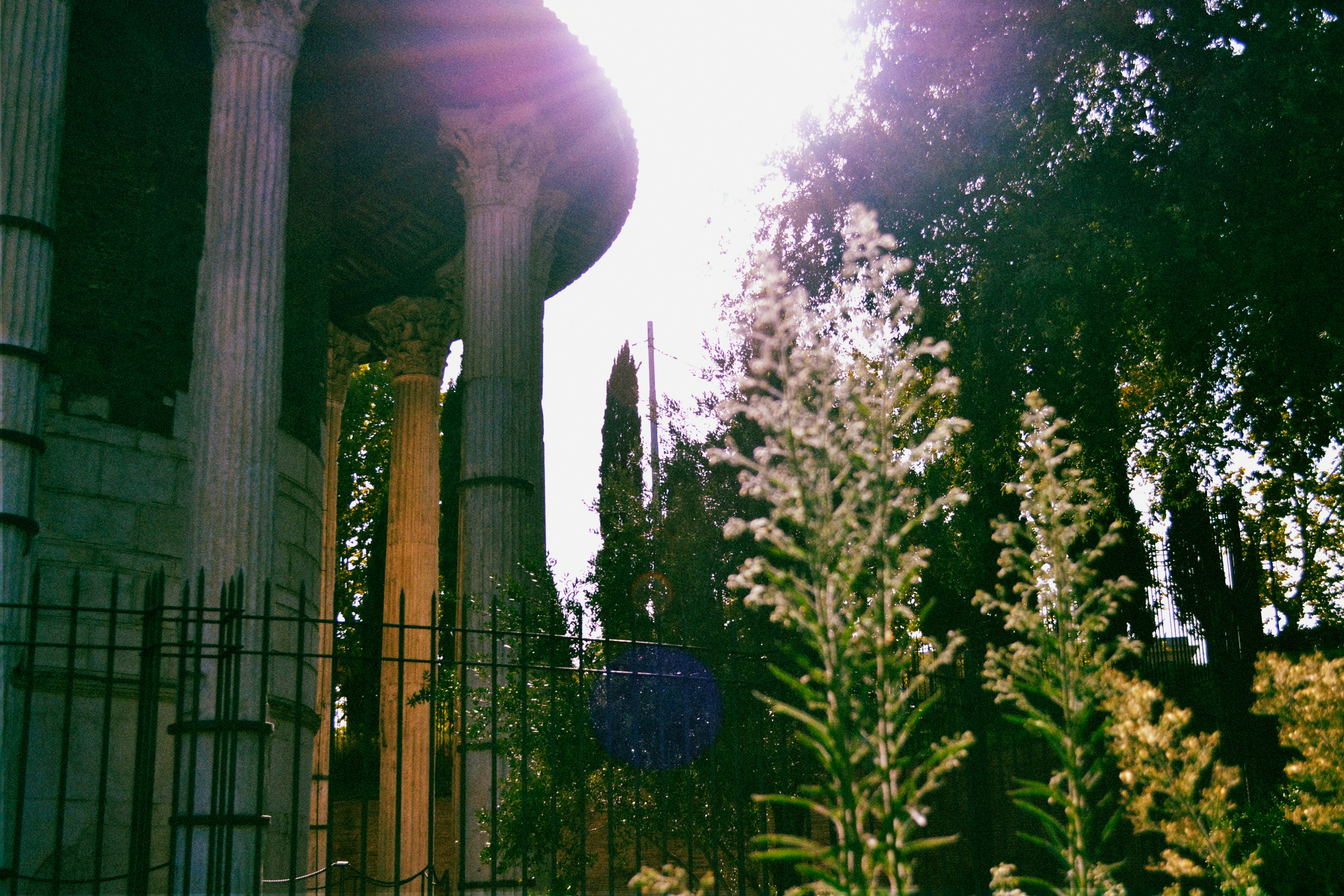 Free Unsplash photo from Sofia Sforza