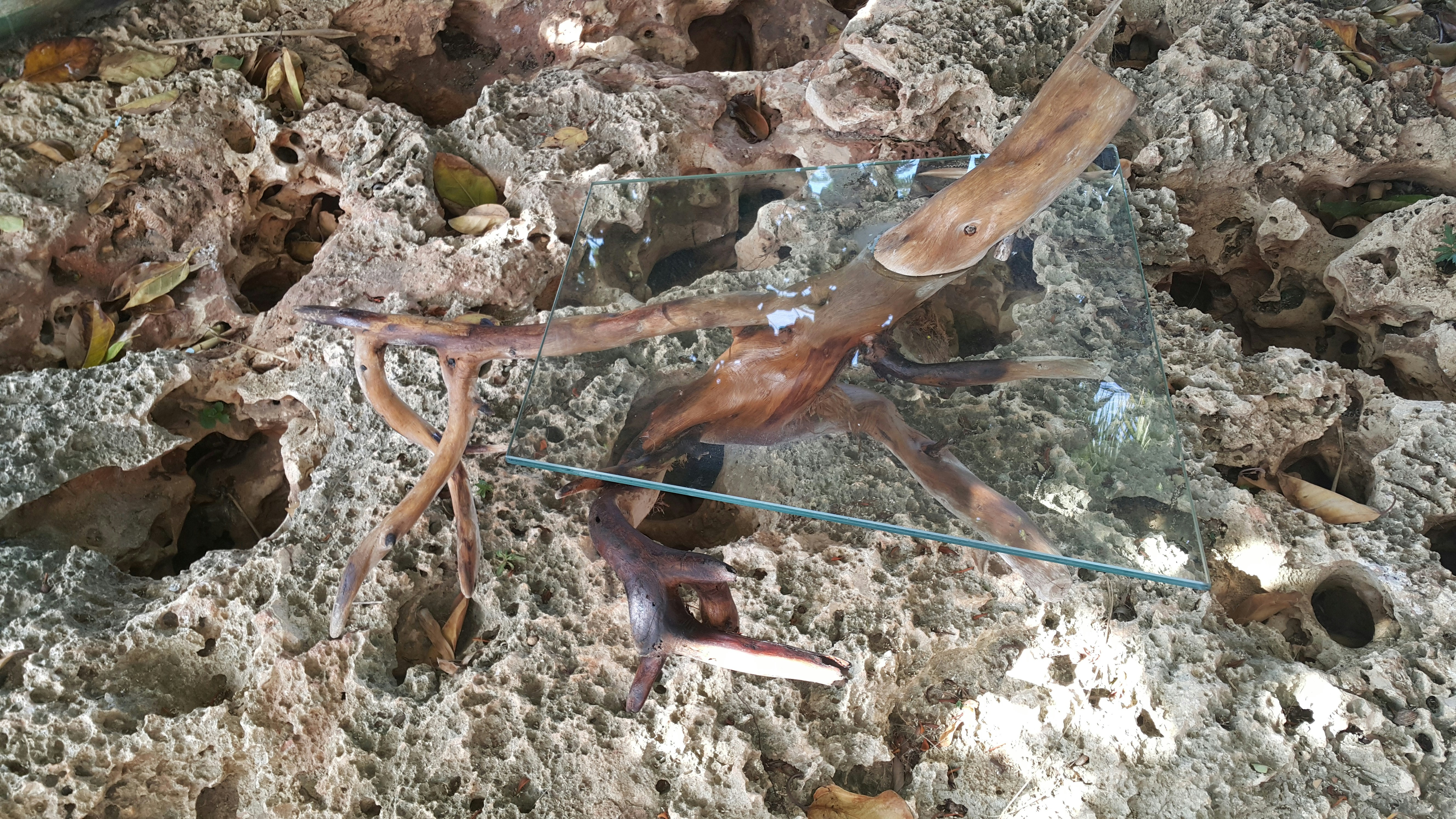 Coastal Driftwood Table