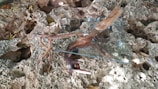 A piece of driftwood is artistically placed on a rocky, porous surface, supporting a transparent glass sheet. The natural textures of the rough, uneven rocks contrast with the smoothness of the glass.