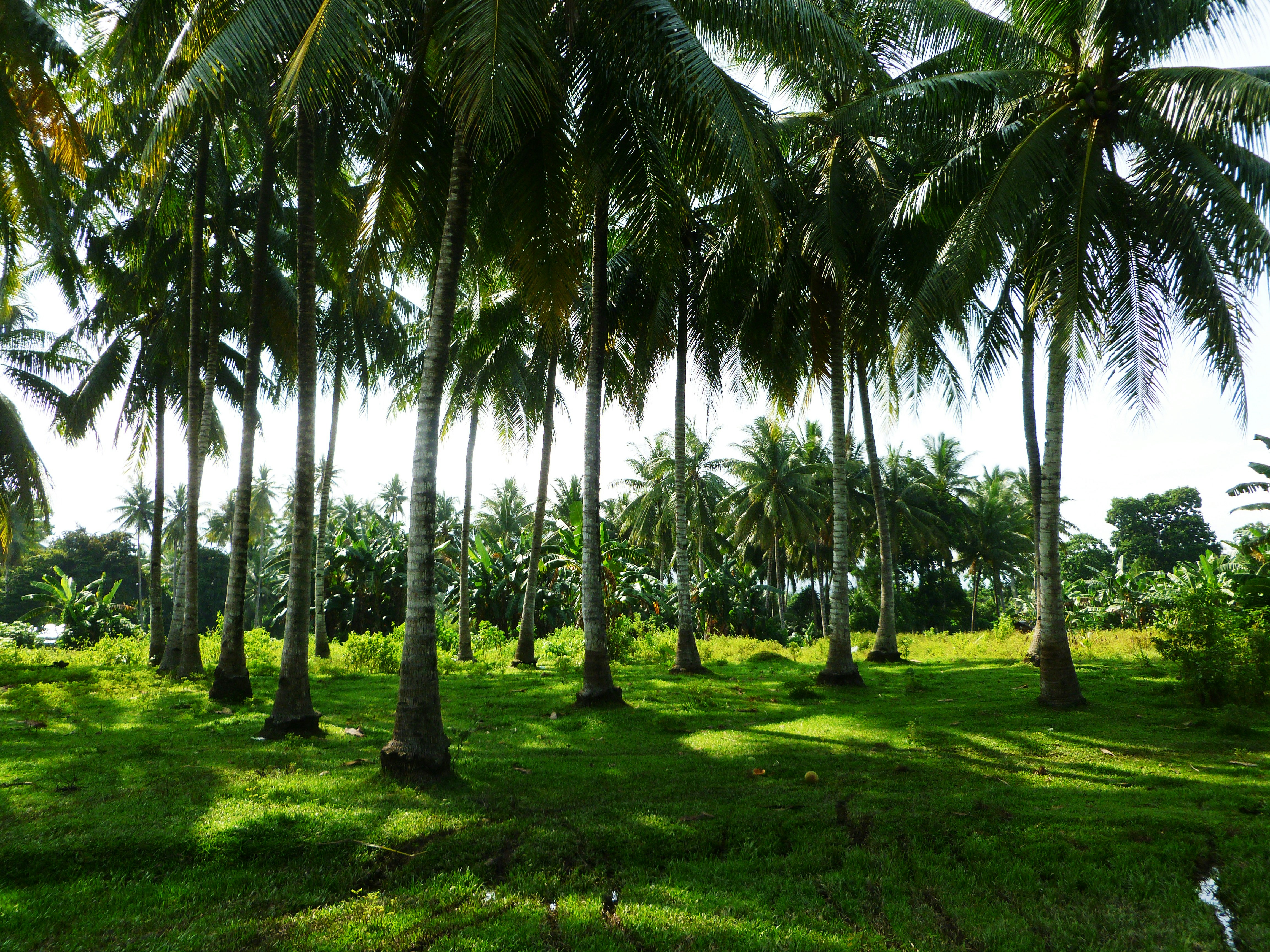 Free Unsplash photo from Stephen Shaw