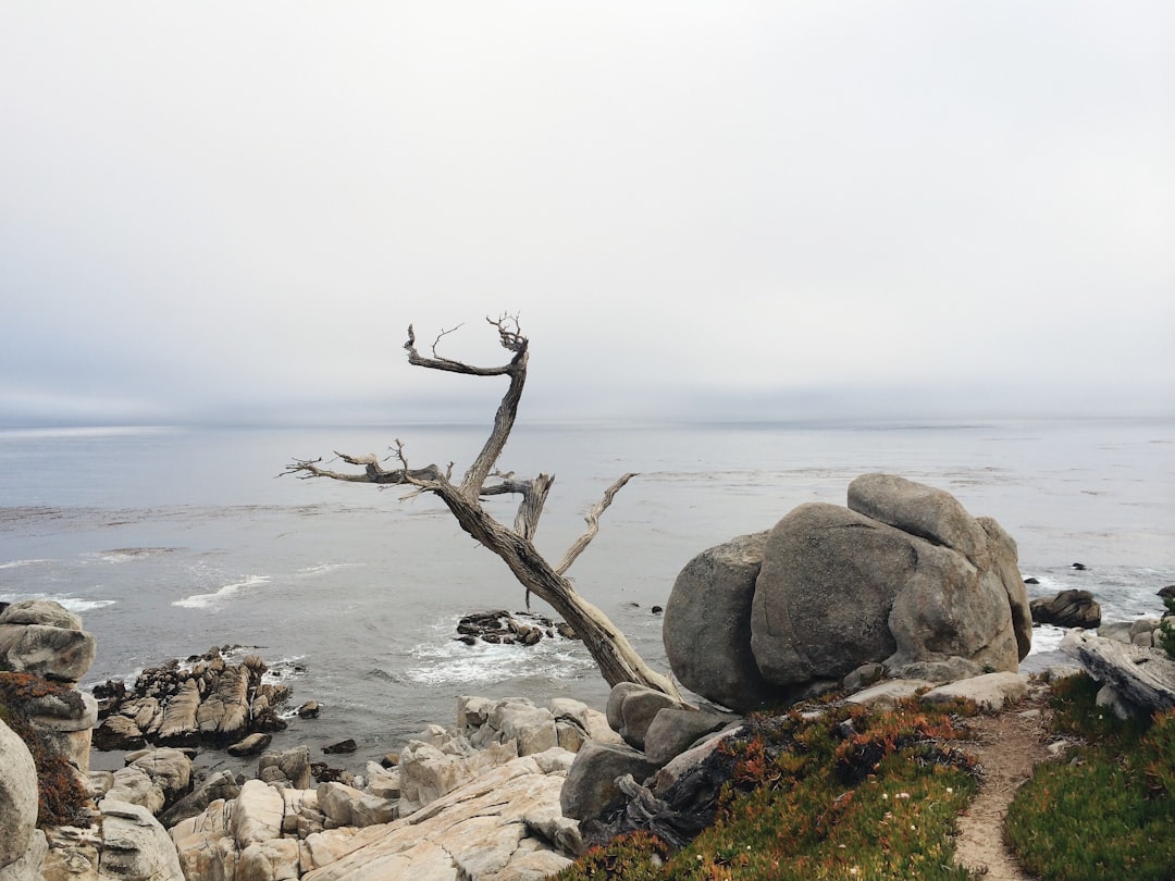 Shore photo spot Pescadero Point Davenport