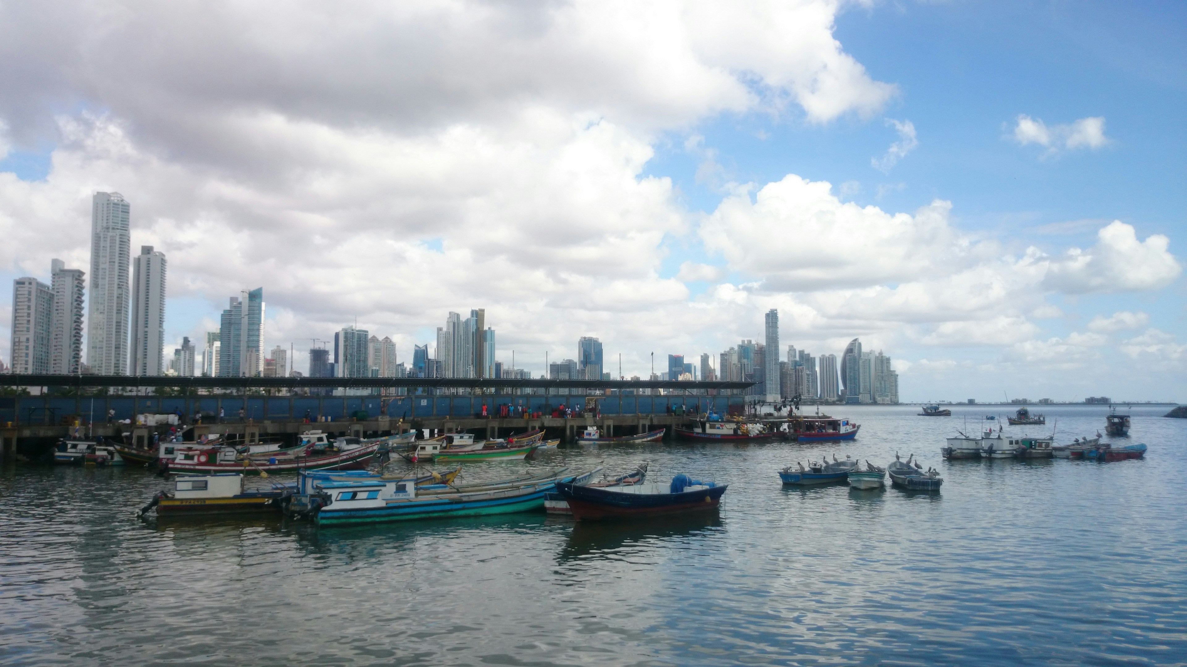 Free Unsplash photo from David May Rojas