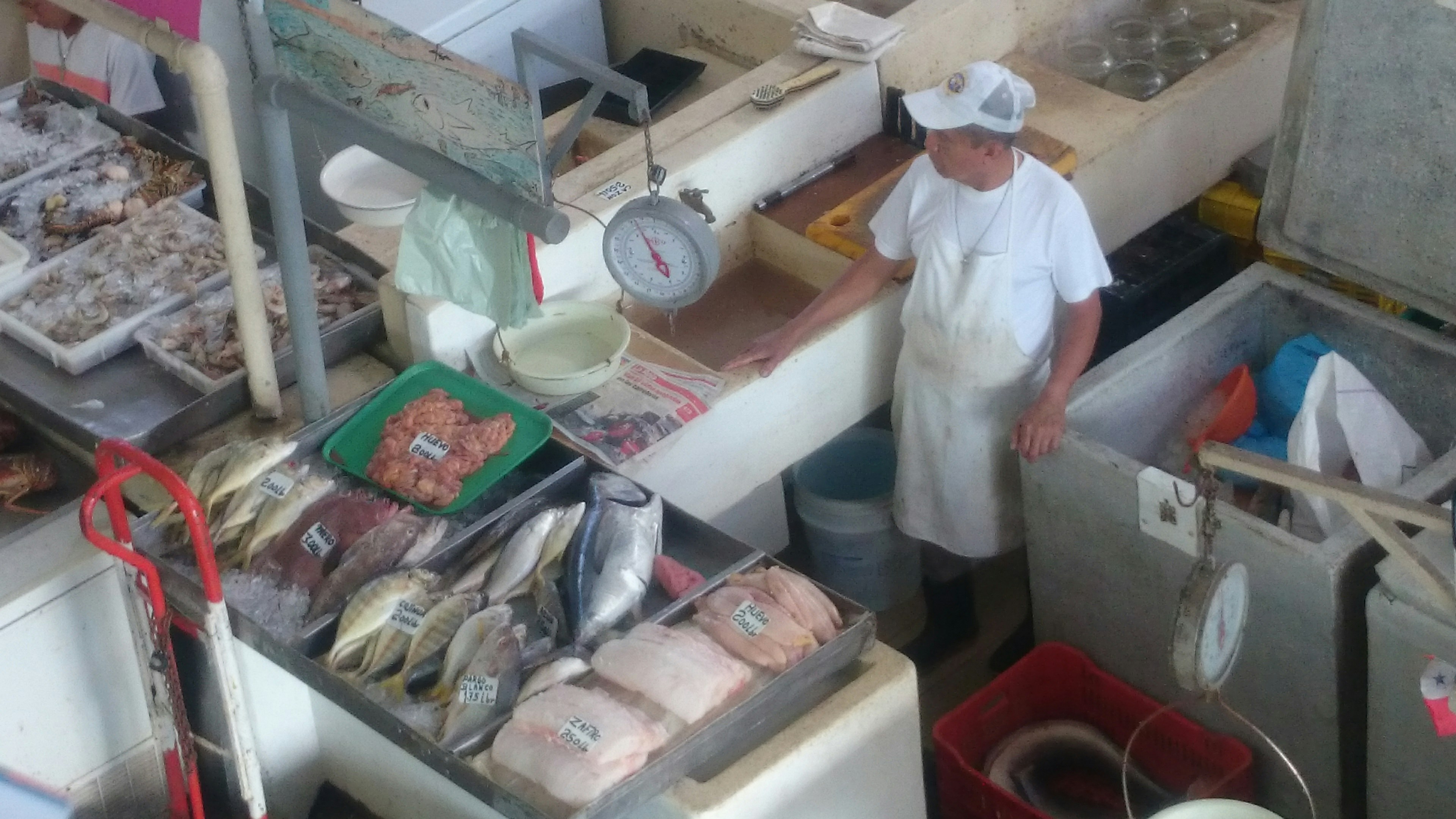 Free Unsplash photo from David May Rojas