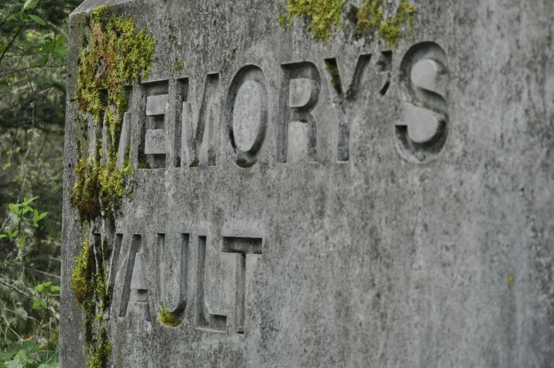 Free Unsplash photo from Greg Bilsland