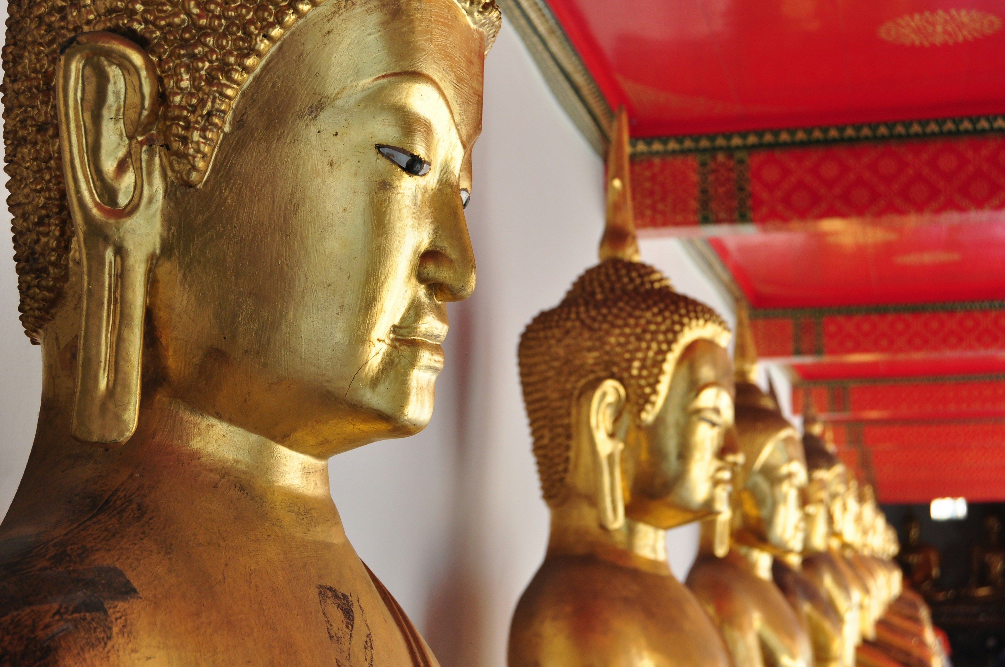 Free Unsplash photo from Greg Bilsland