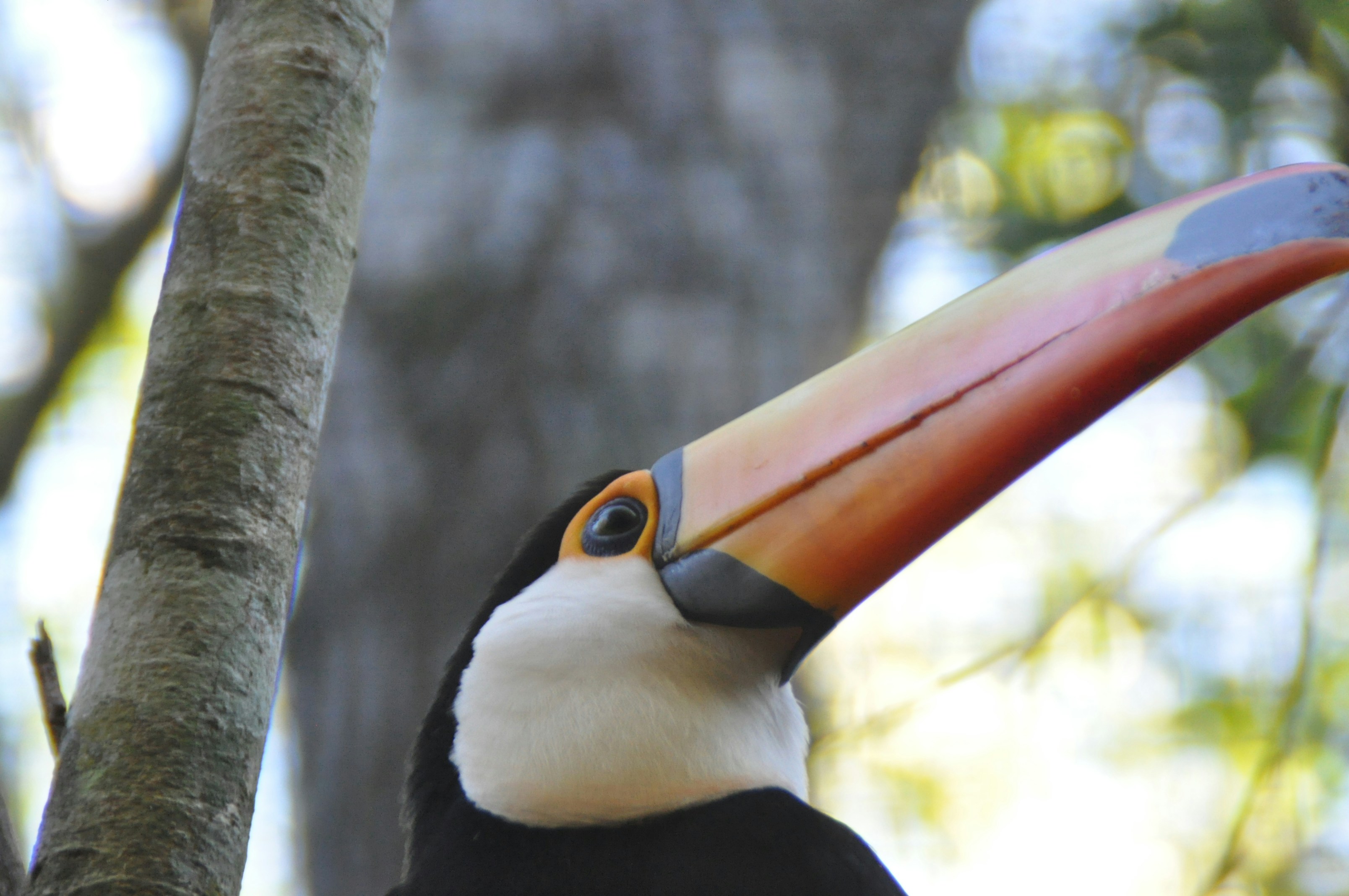 Free Unsplash photo from Greg Bilsland