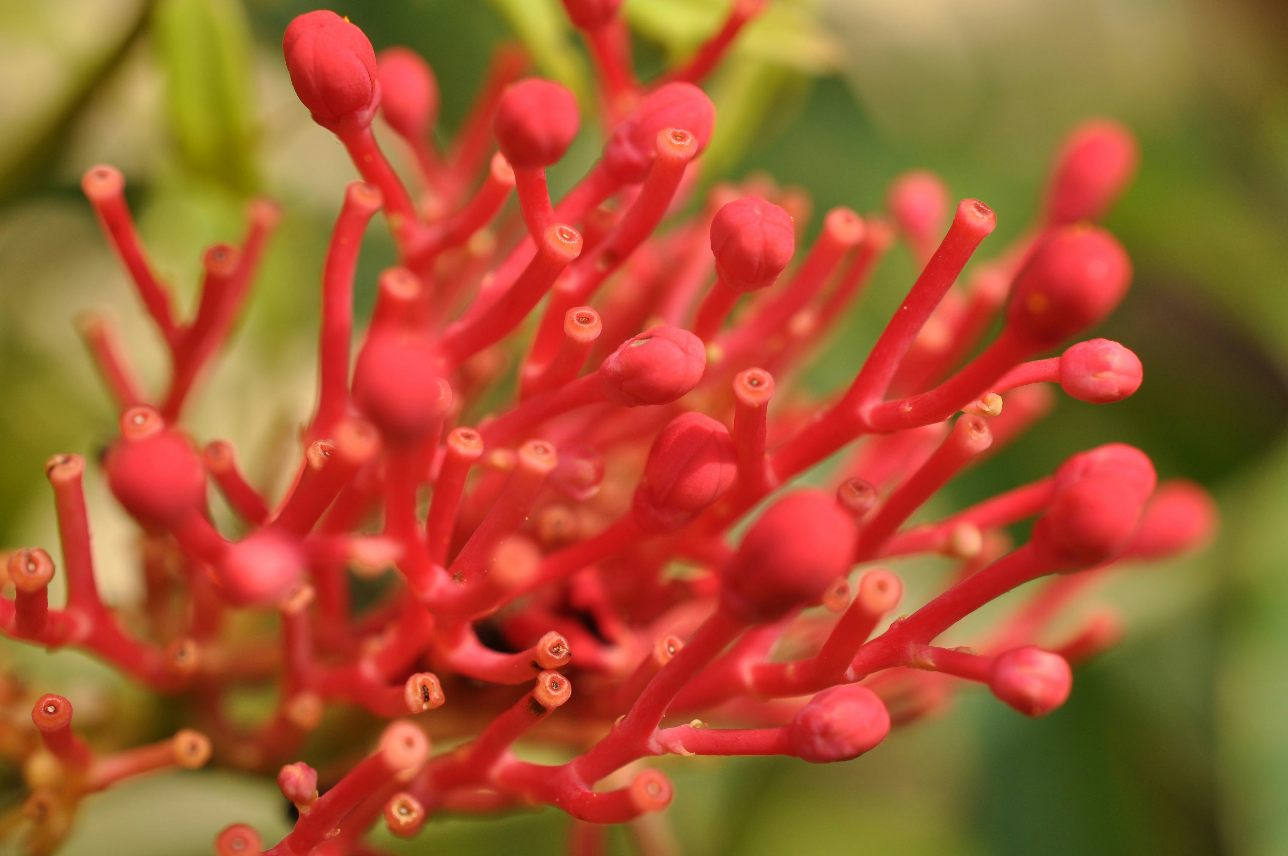 Free Unsplash photo from Greg Bilsland