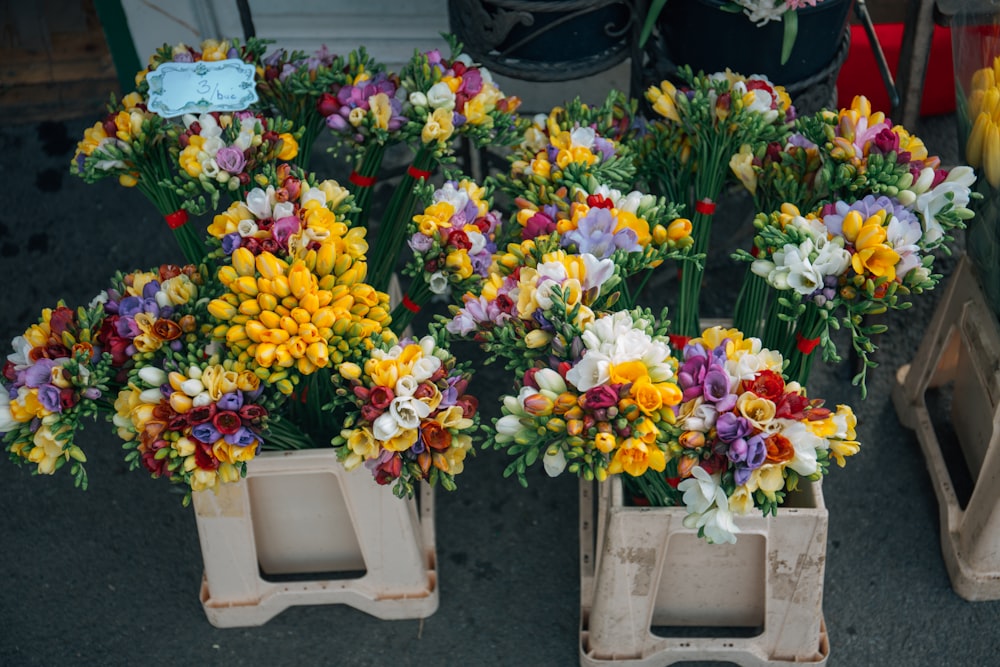 flowers on white plant pots