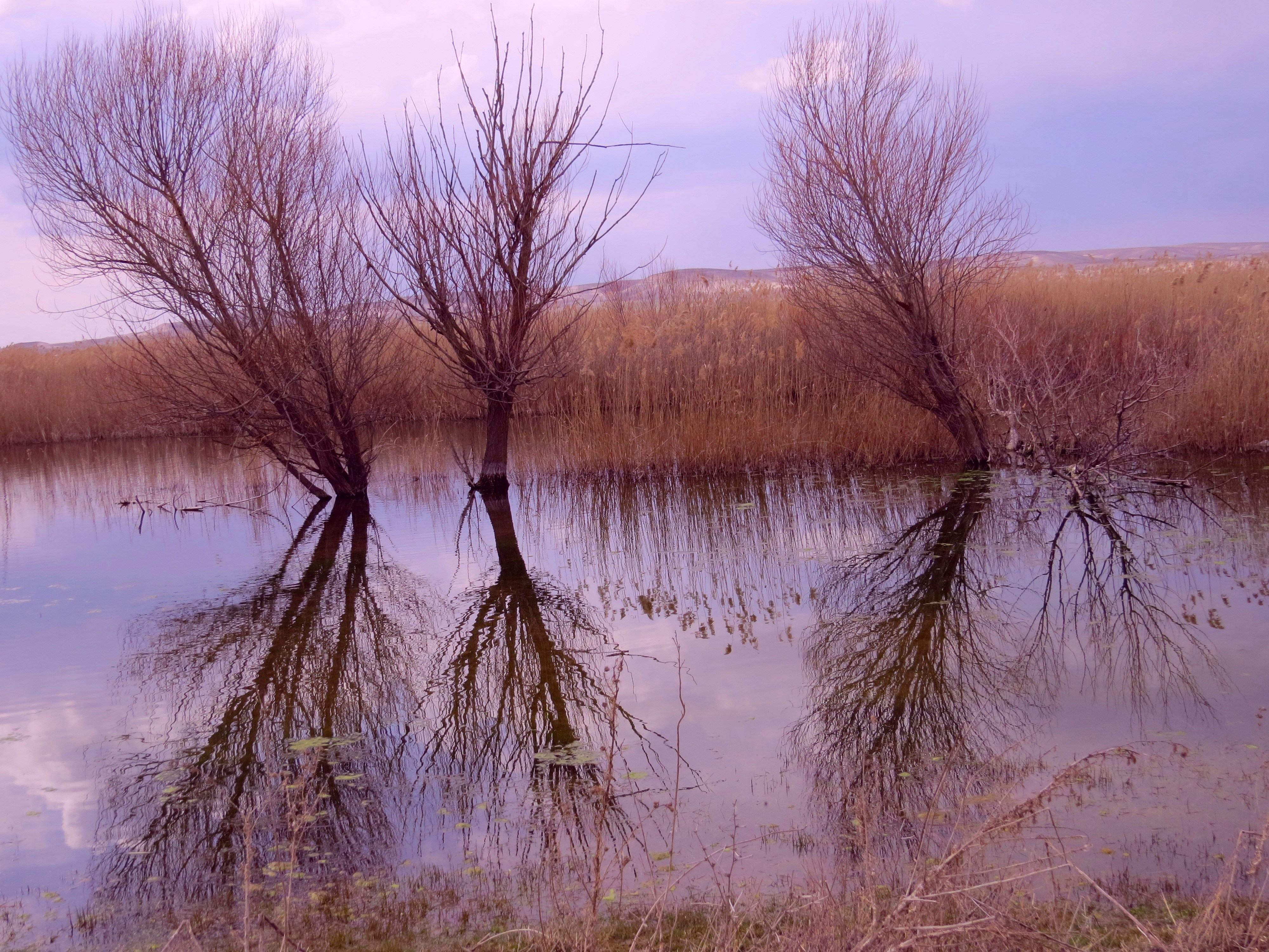 Free Unsplash photo from Cevdet Ünlüer