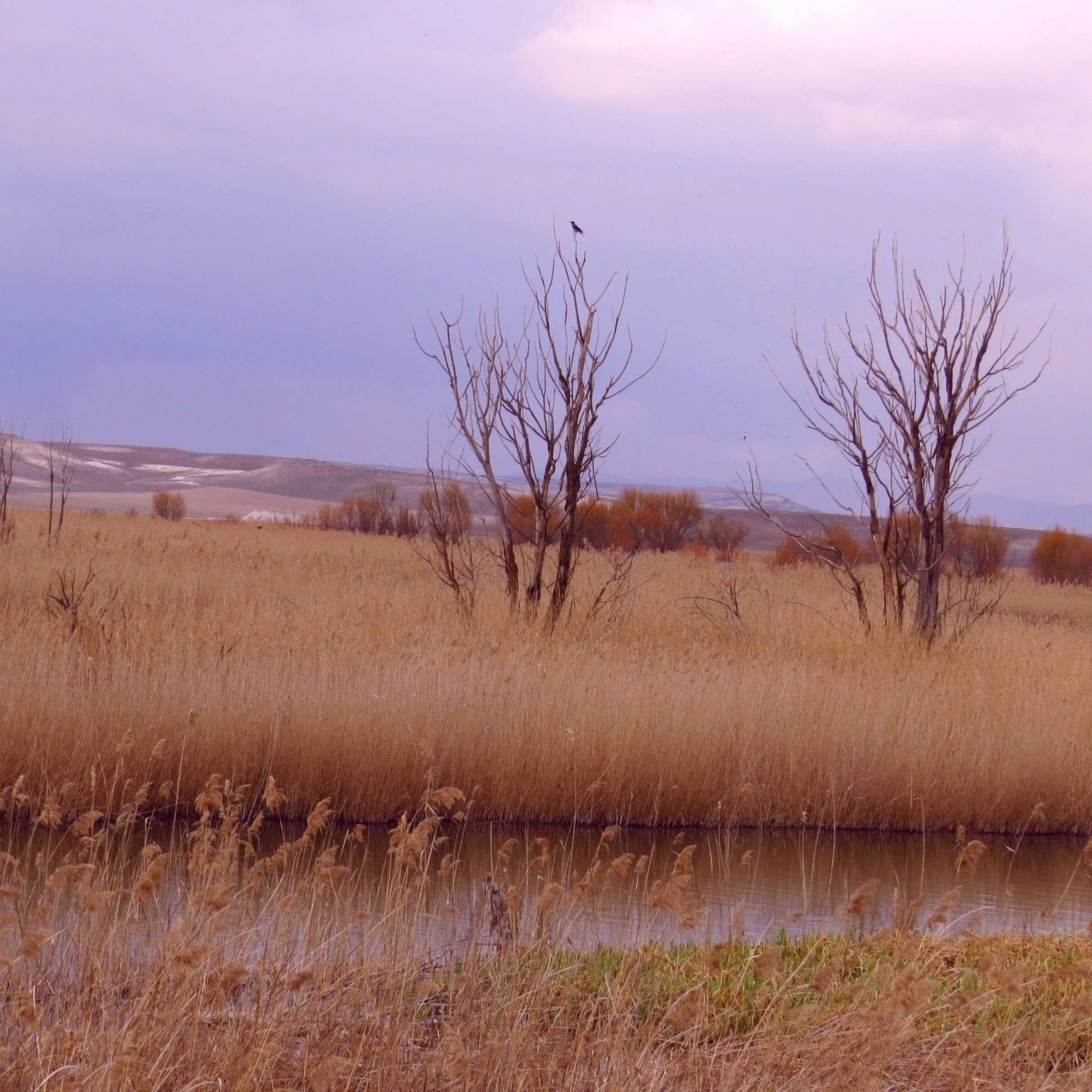 Free Unsplash photo from Cevdet Ünlüer