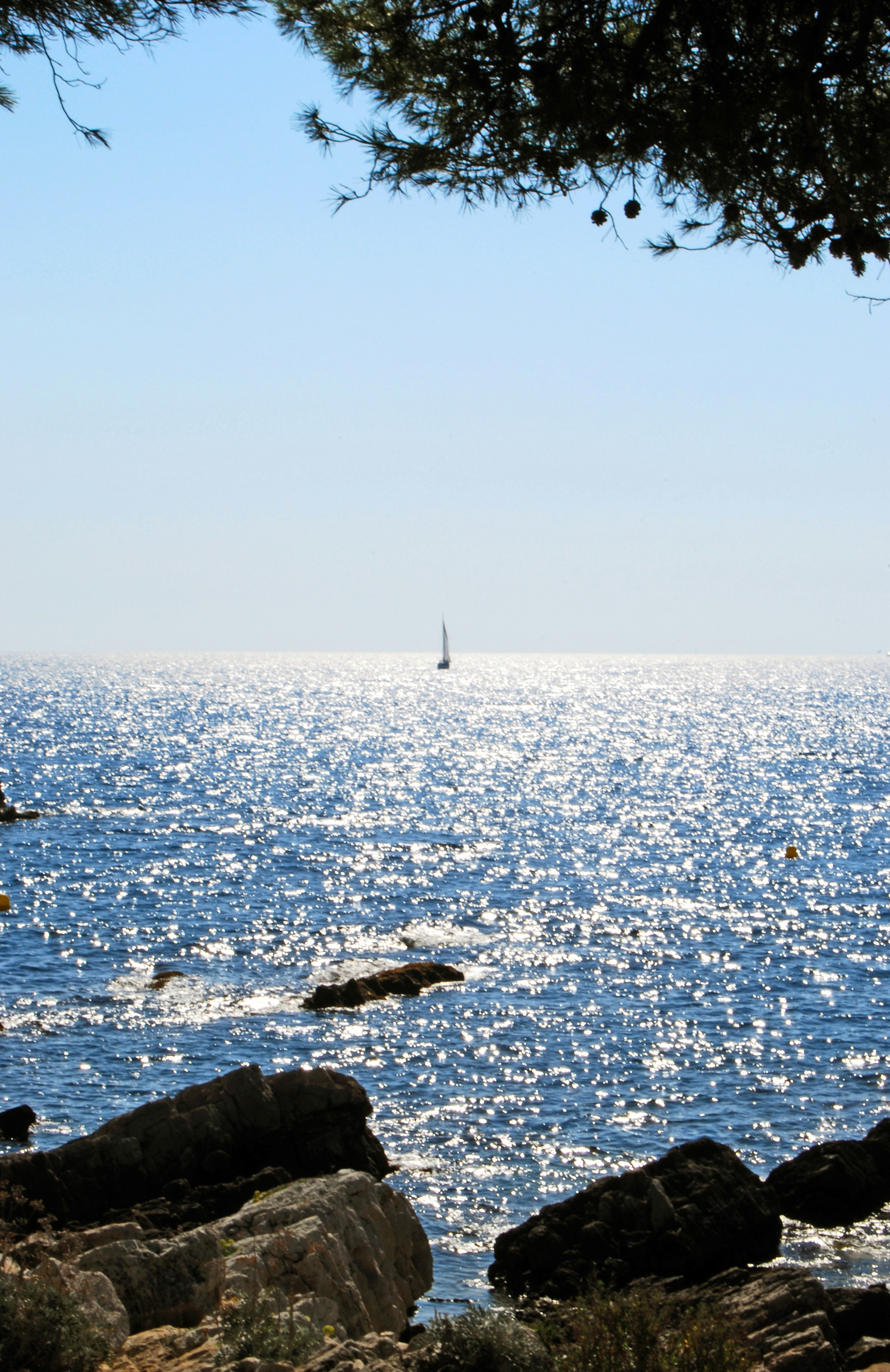 Free Unsplash photo from Michel Speak