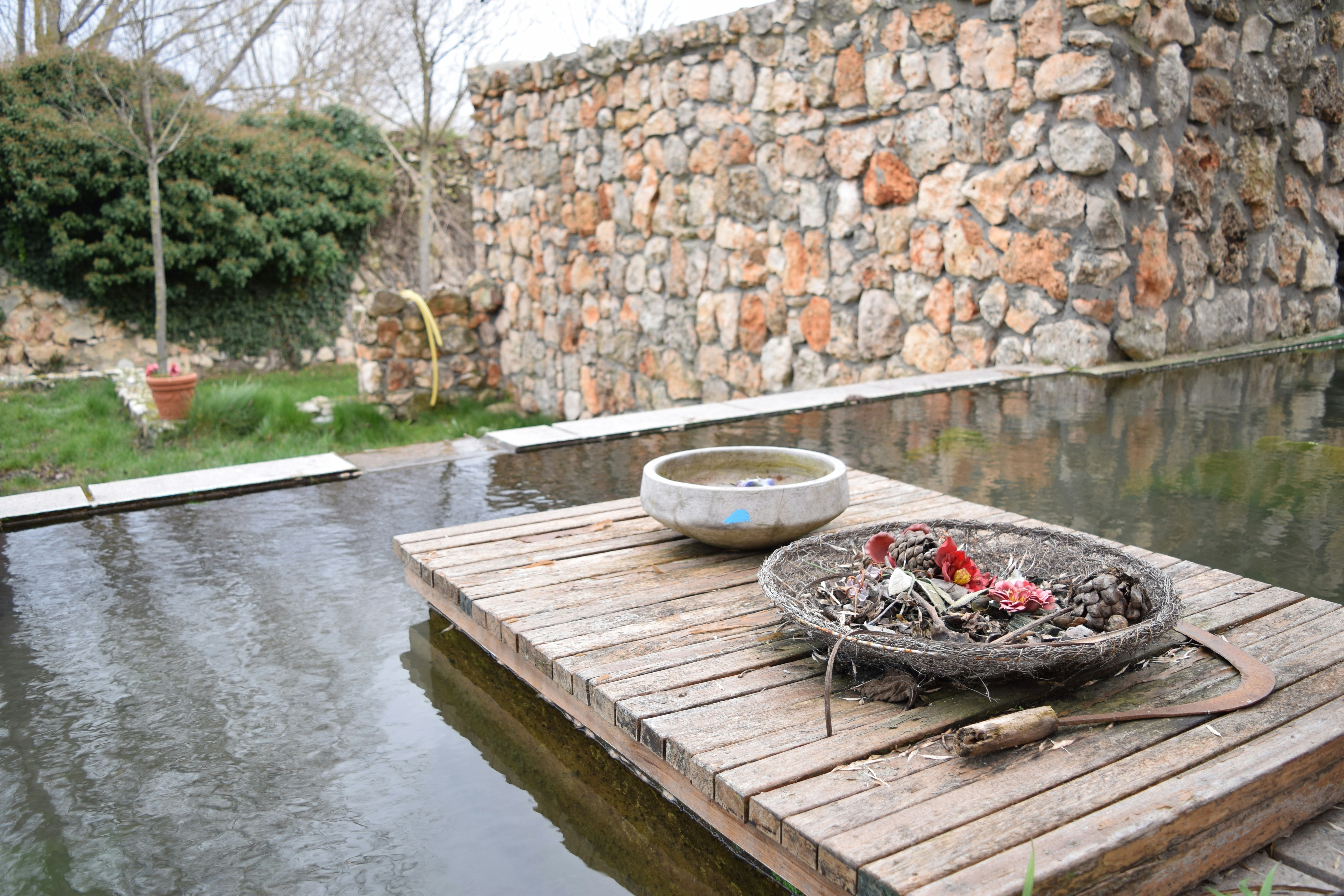 Free Unsplash photo from Lucia Velez