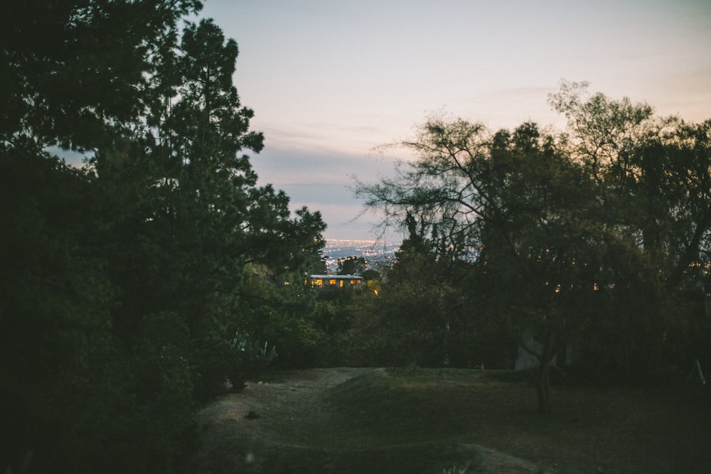 green trees