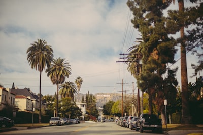 Hollywood Sign - From Beachwood and Temple Hill Street, United States
