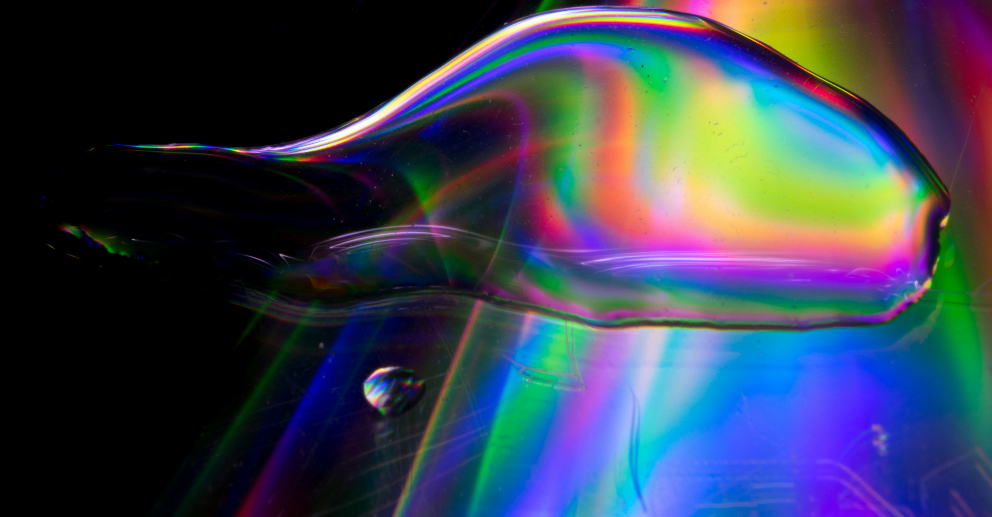 Free Unsplash photo from sebastian van hemelrijk