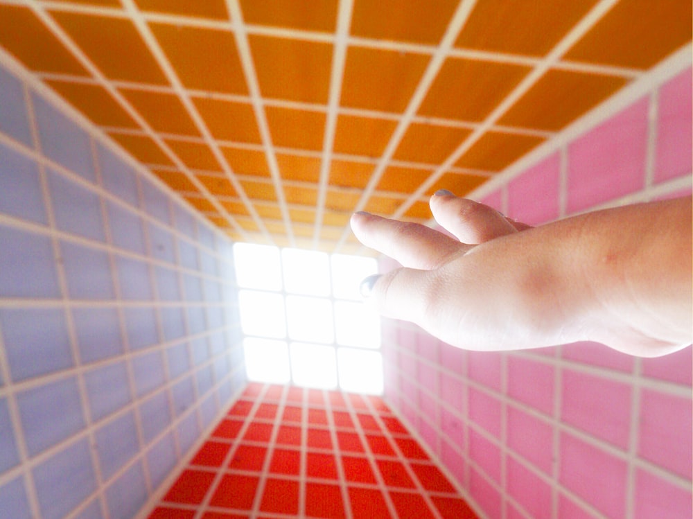 A hand reaching up to a sky-lit window in a room surrounded by four different color walls with box patterns.