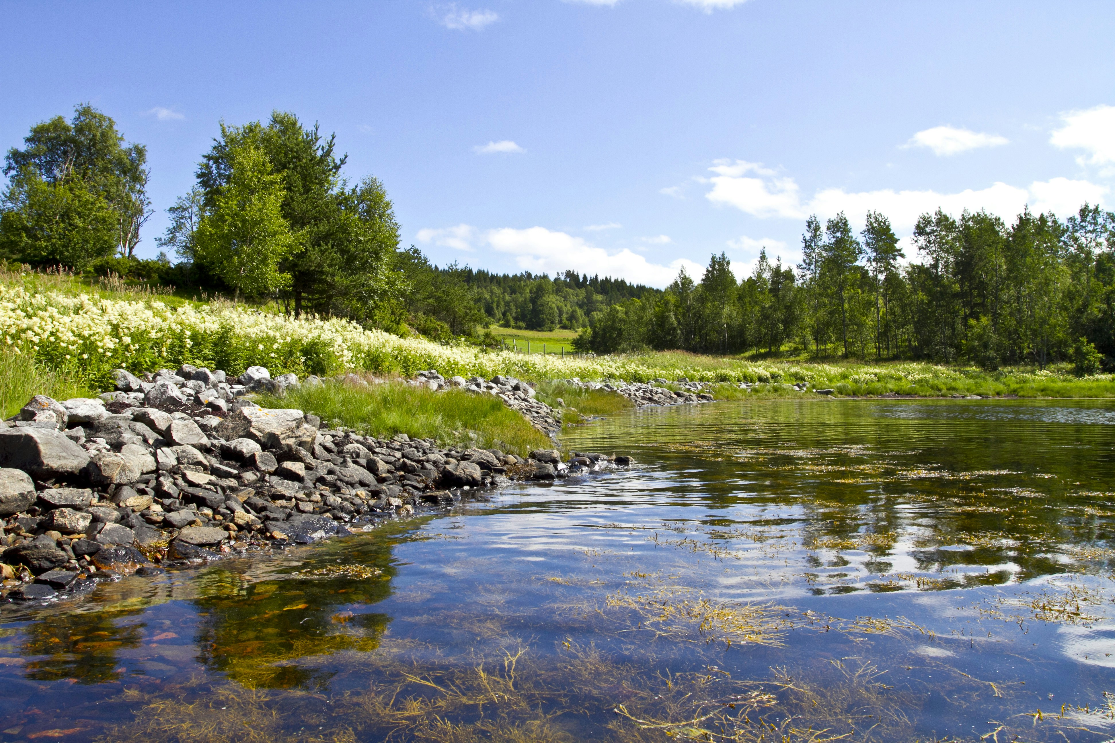 Free Unsplash photo from Kovah