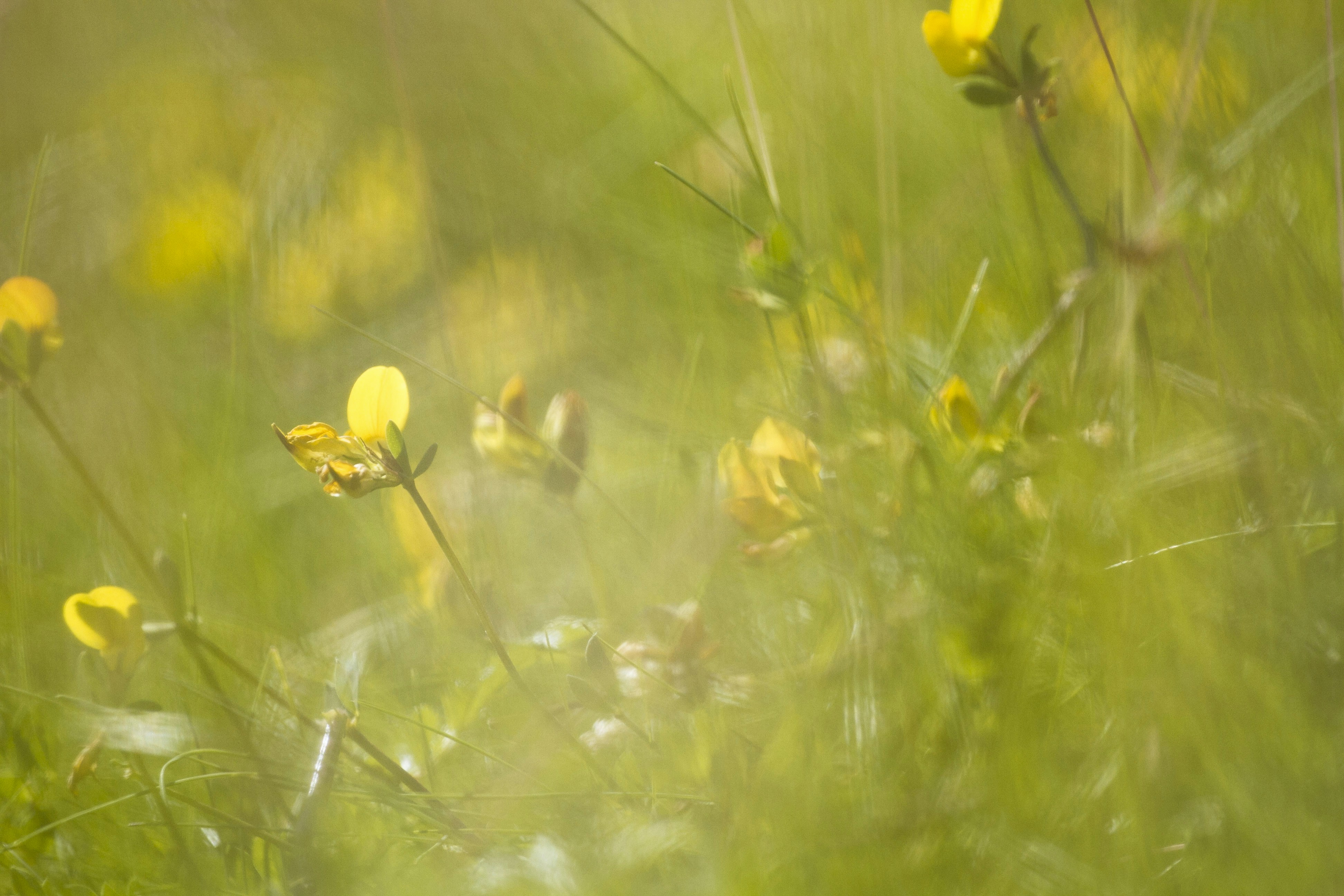 Free Unsplash photo from Kovah