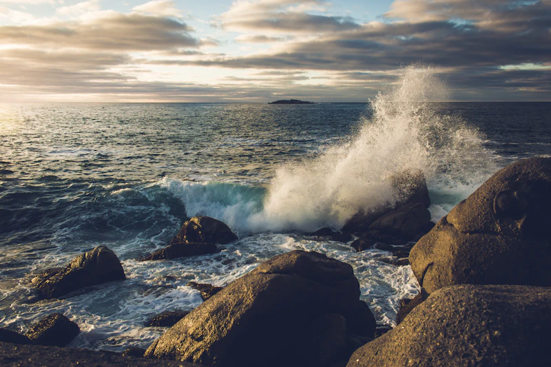 Waves