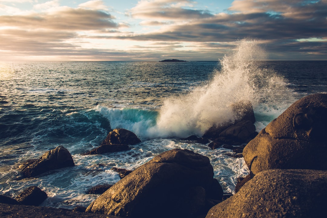 photo of Victor Harbor Shore near Rosetta Head