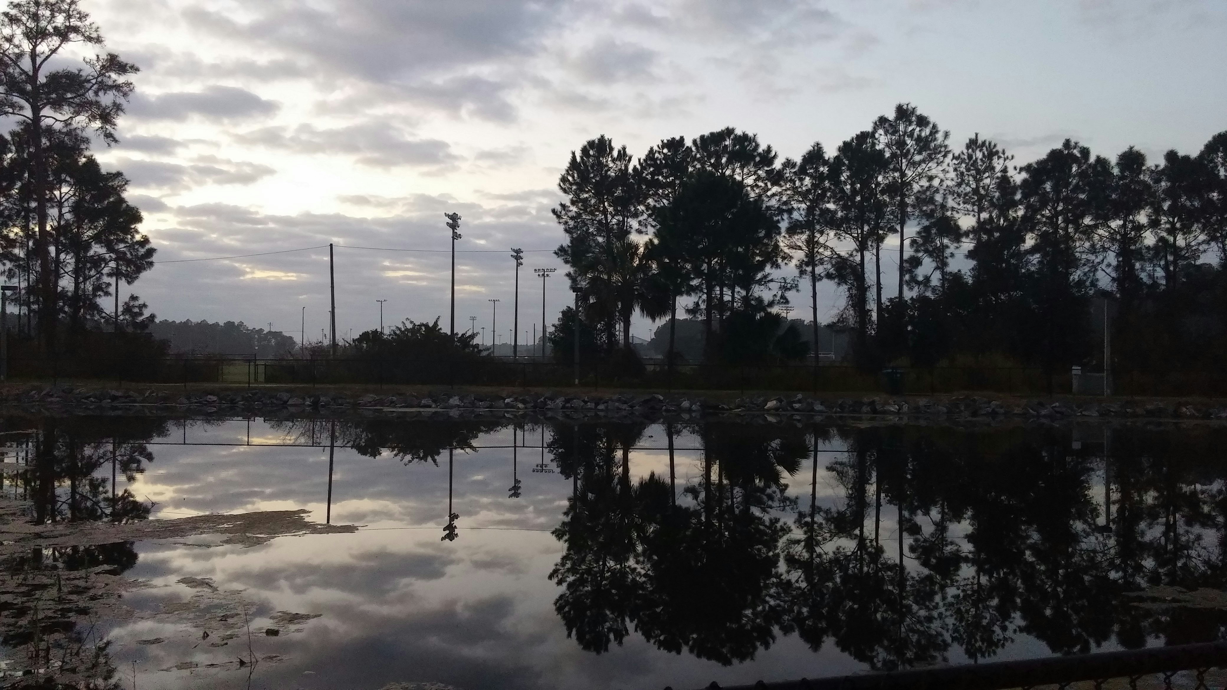 Free Unsplash photo from Amanda  Moore