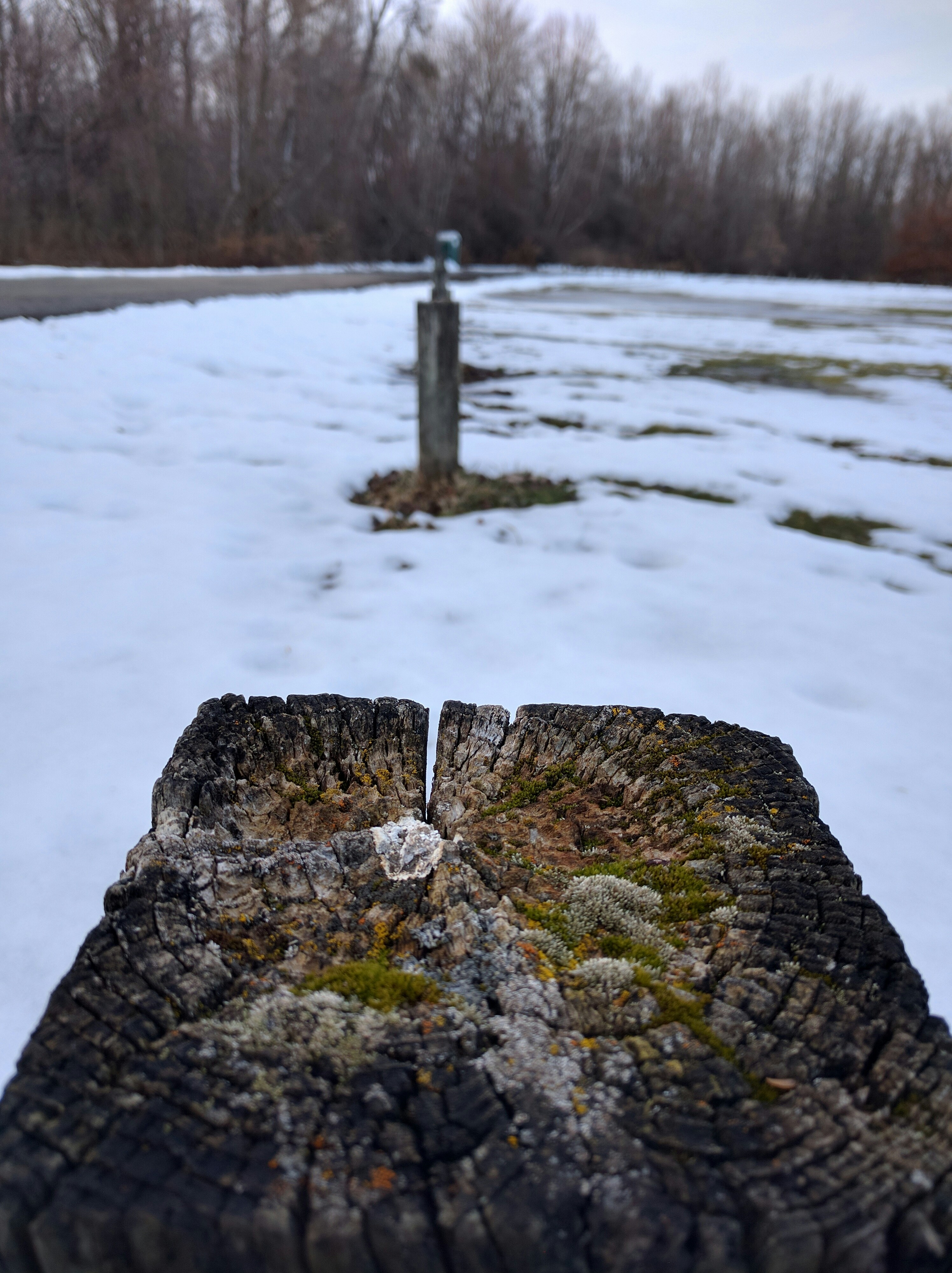 Free Unsplash photo from Saish Menon