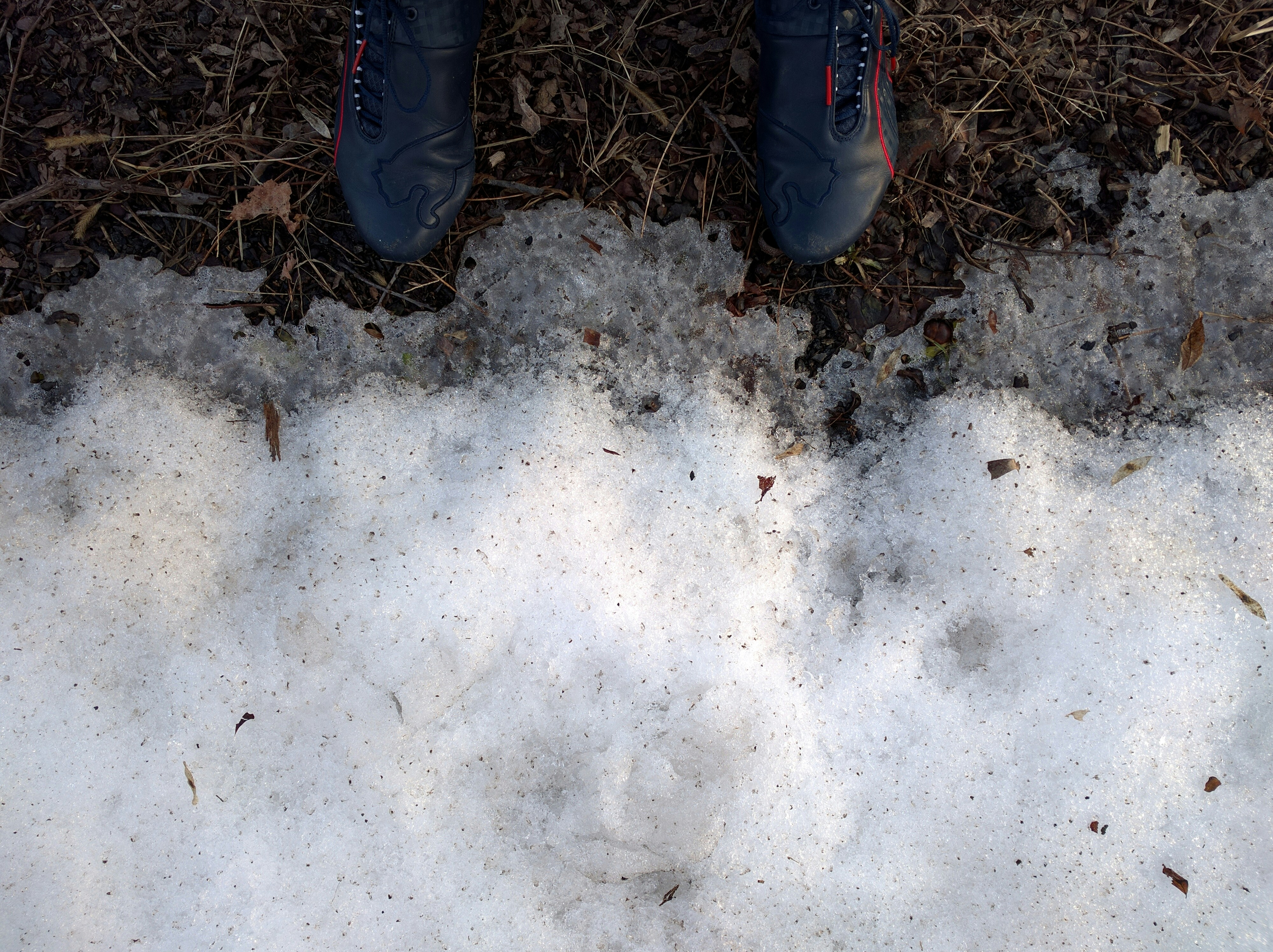 Free Unsplash photo from Saish Menon