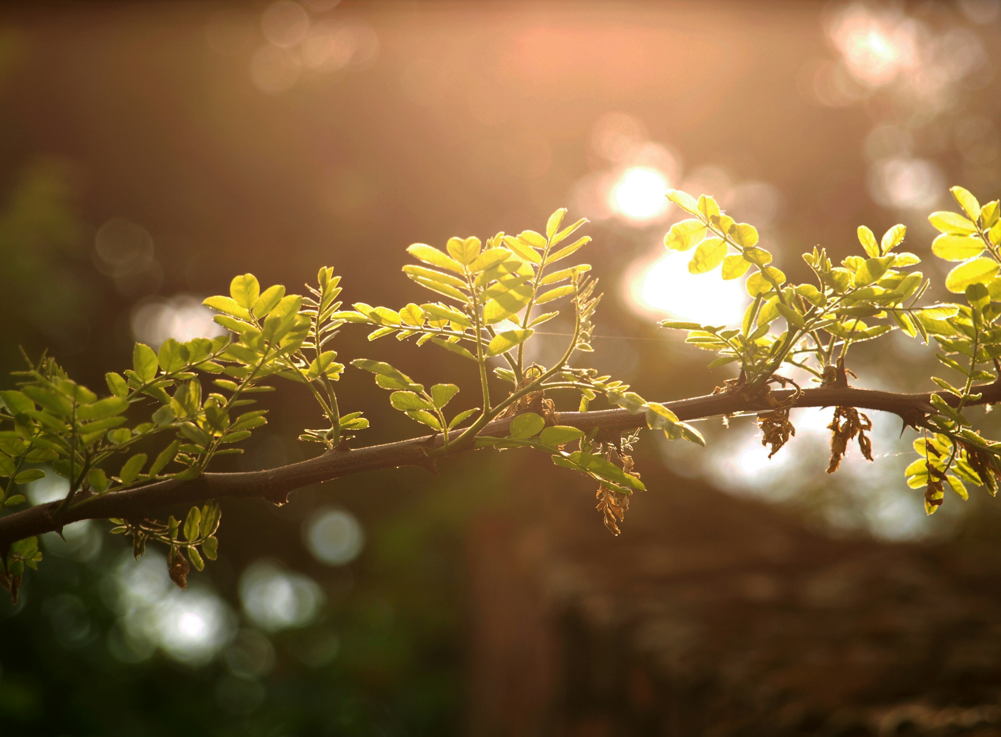 Free Unsplash photo from Alicja Koczaska