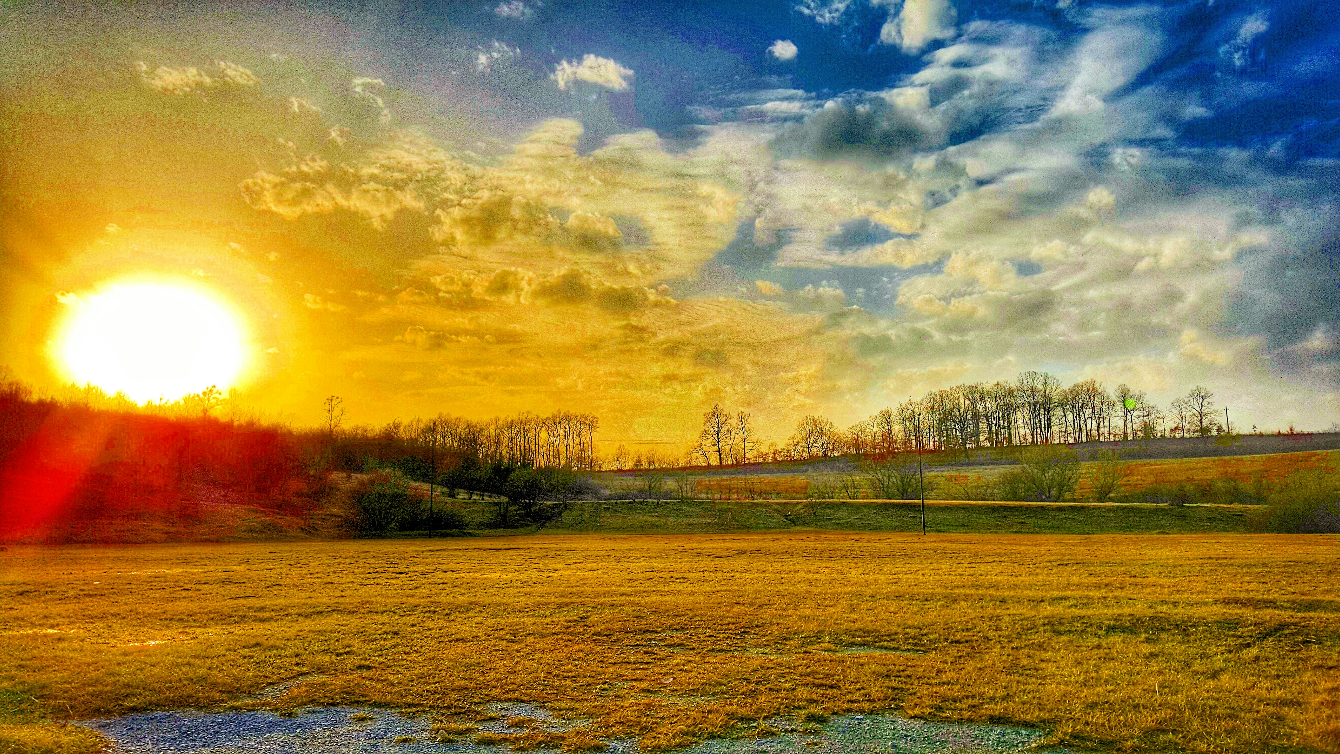 Free Unsplash photo from Friderika Juhász