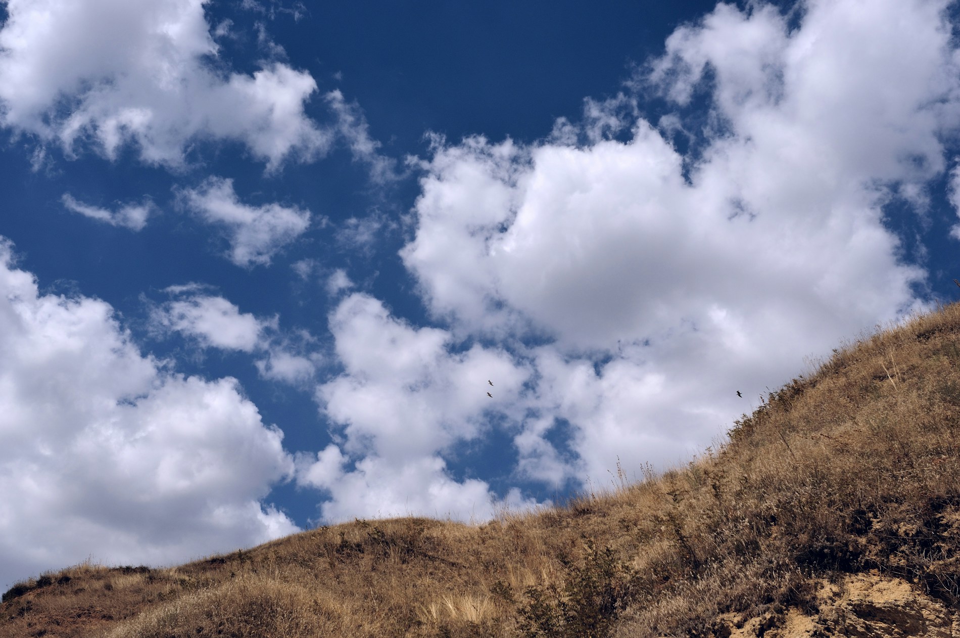 Free Unsplash photo from Sergey Bakhvalov