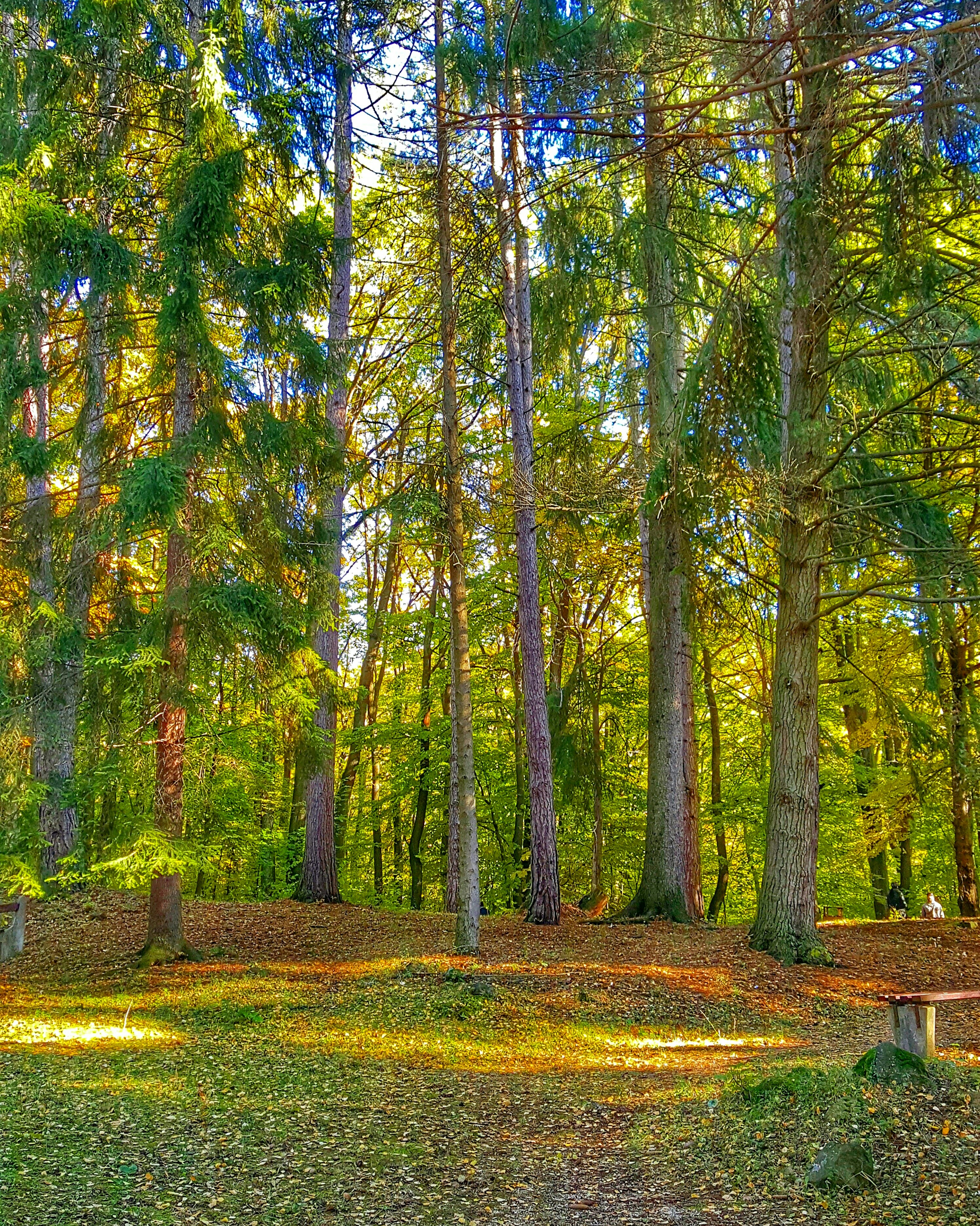 Free Unsplash photo from Friderika Juhász