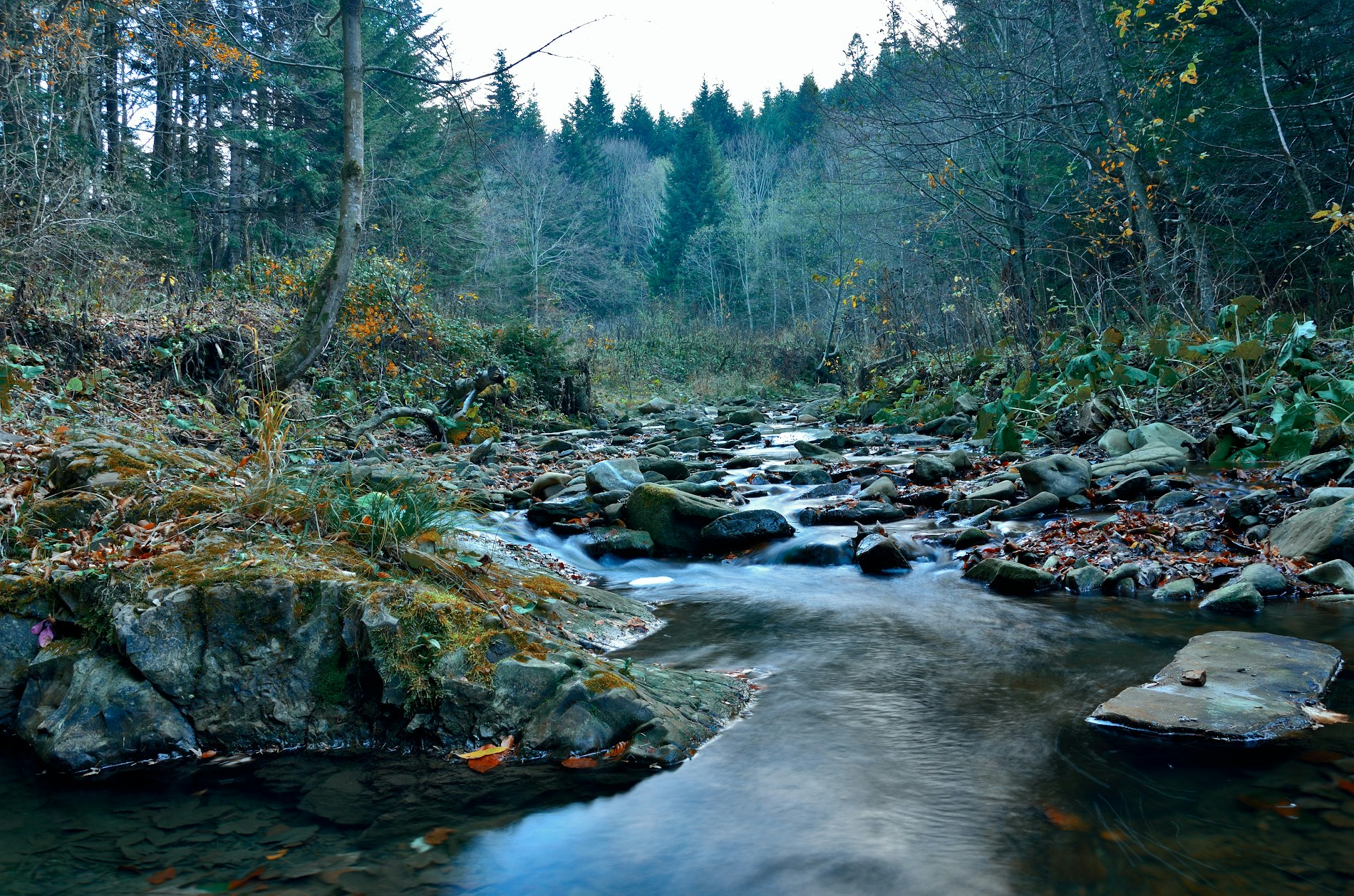 Free Unsplash photo from Sergey Bakhvalov