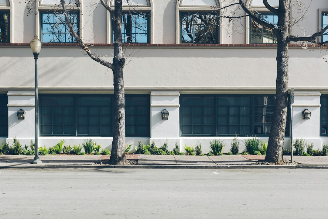 two bare trees near white concrete building