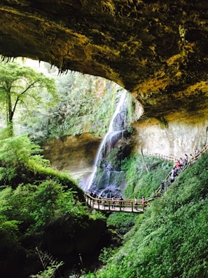 A scenic view inside a lush green cave-like structure with a waterfall cascading down a rocky wall. A wooden walkway with railings spans the scene, featuring a group of people observing the natural beauty around them. Stalactites hang from the ceiling and dense foliage surrounds the area, enhancing the serene and natural atmosphere.