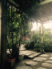 A tranquil shaded garden corner with lush green foliage and soft filtered light.